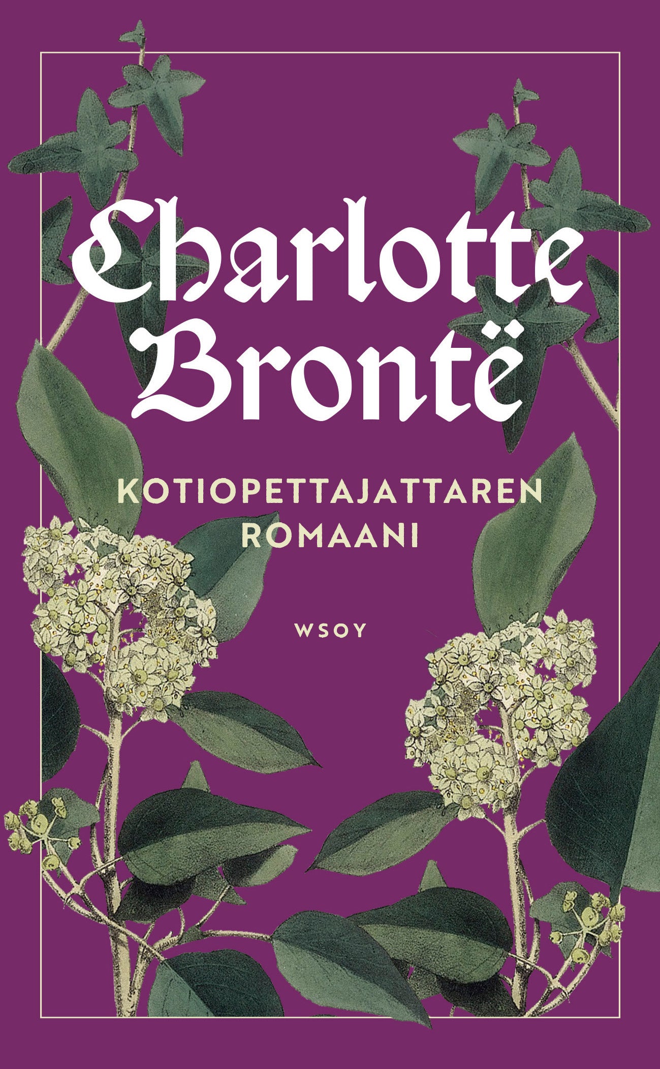 Kotiopettajattaren romaani – E-bok