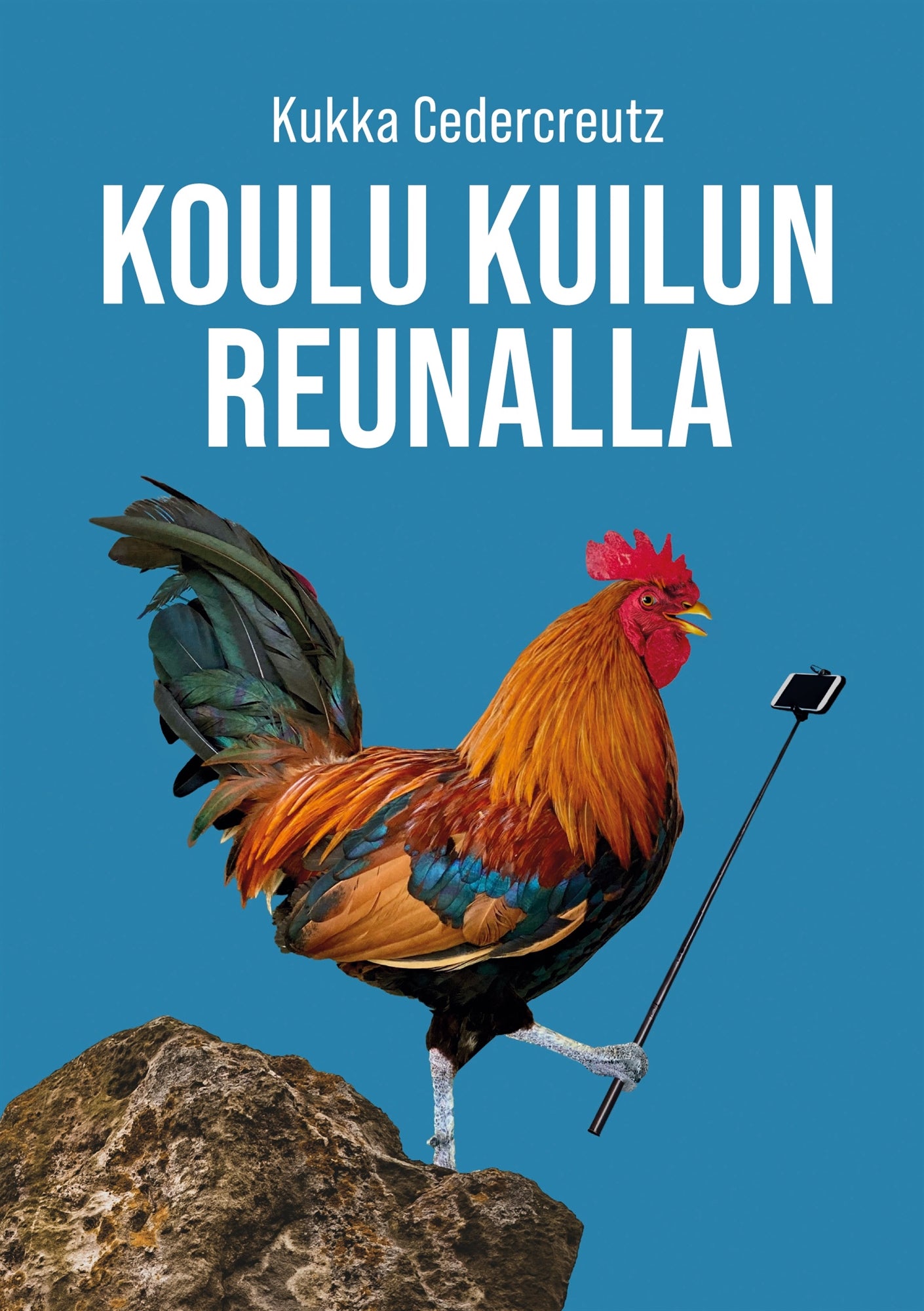 Koulu kuilun reunalla – E-bok