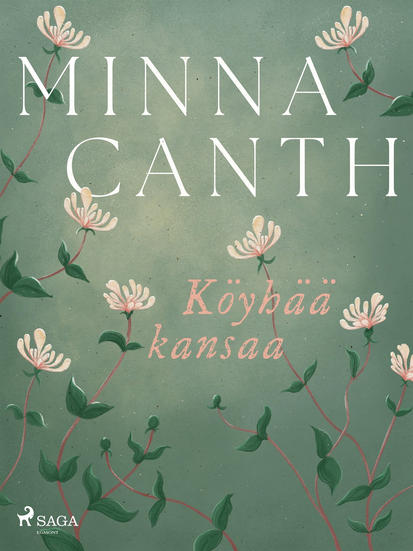 Köyhää kansaa – E-bok