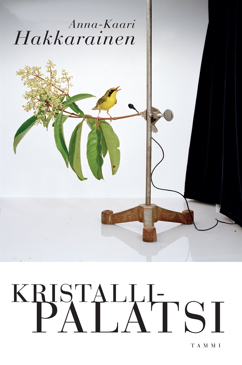 Kristallipalatsi – E-bok