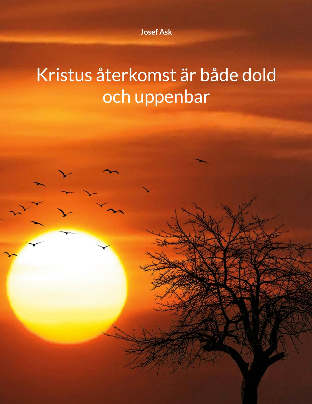 Kristus återkomst är både dold och uppenbar – E-bok