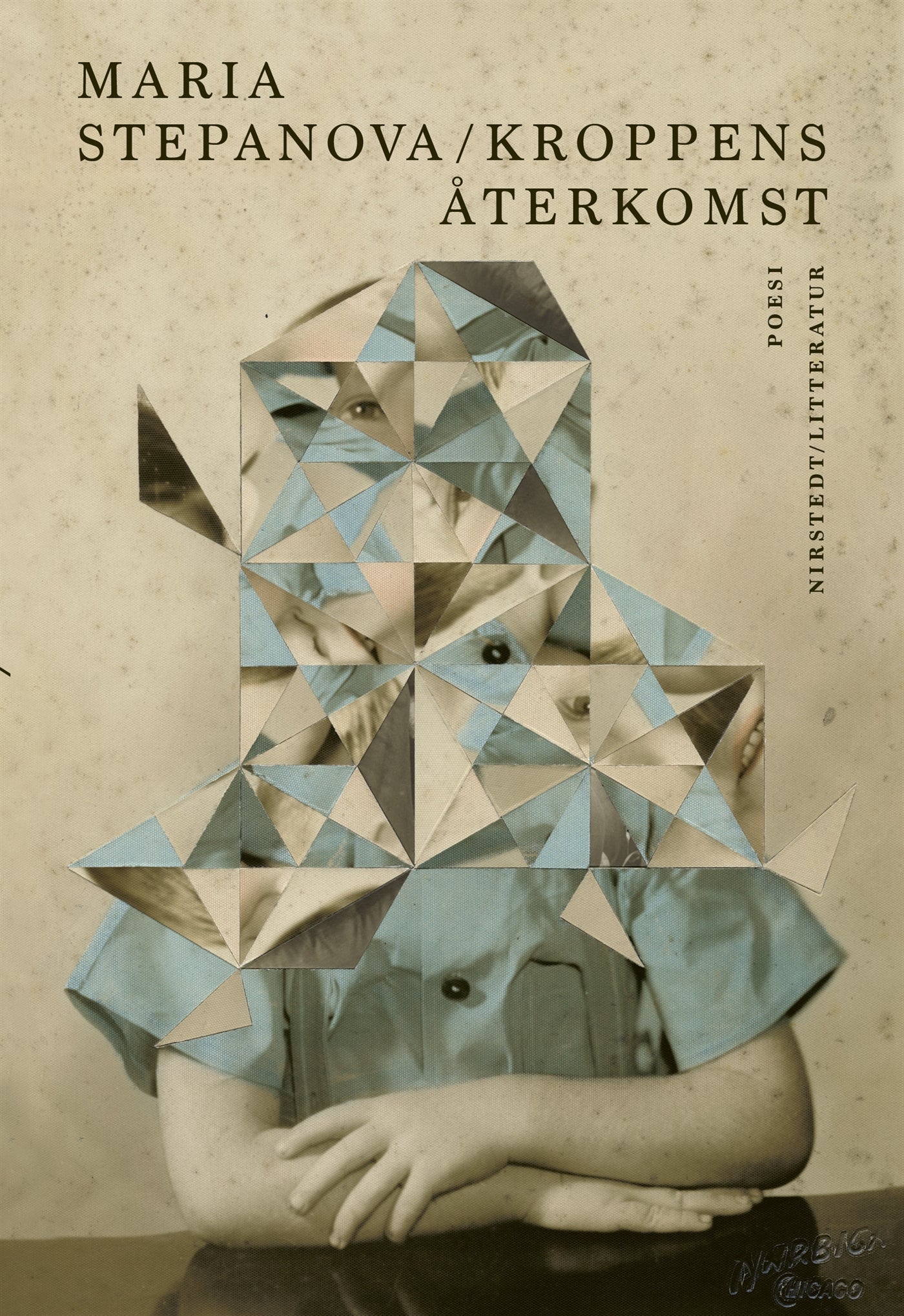 Kroppens återkomst – E-bok