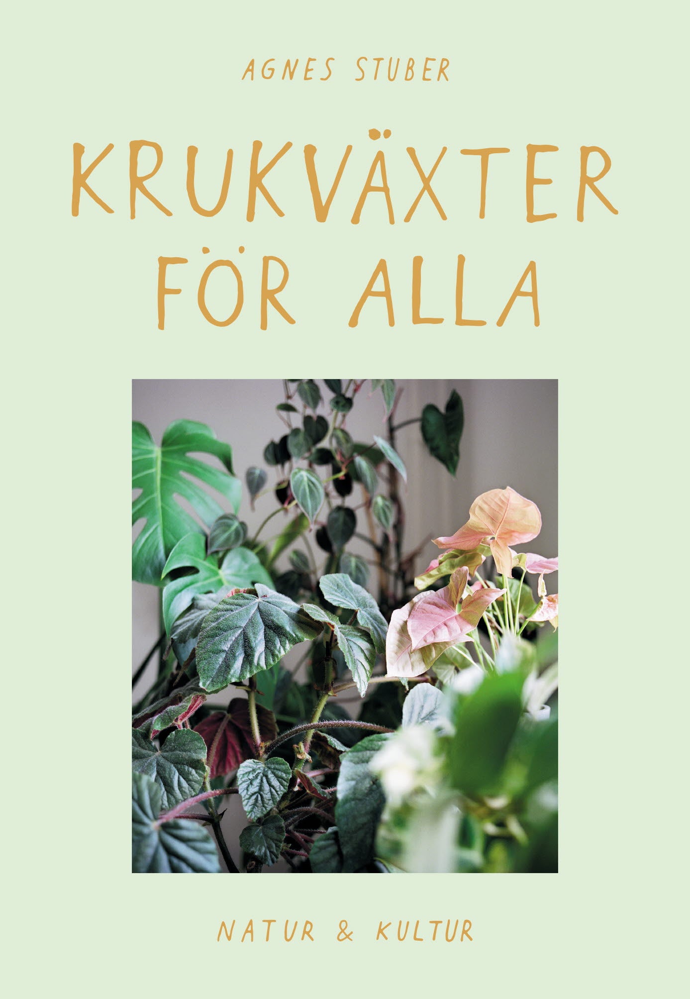 Krukväxter för alla – E-bok