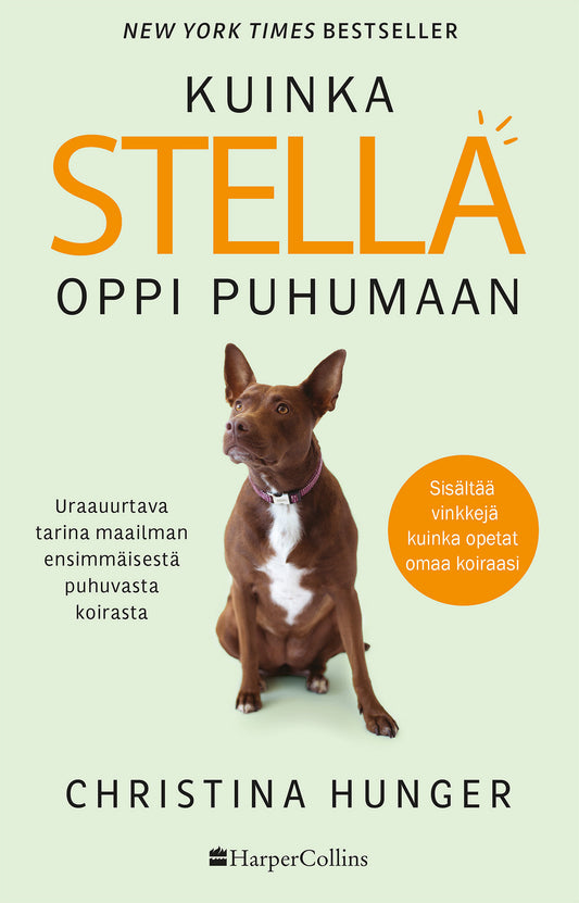 Kuinka Stella oppi puhumaan – E-bok