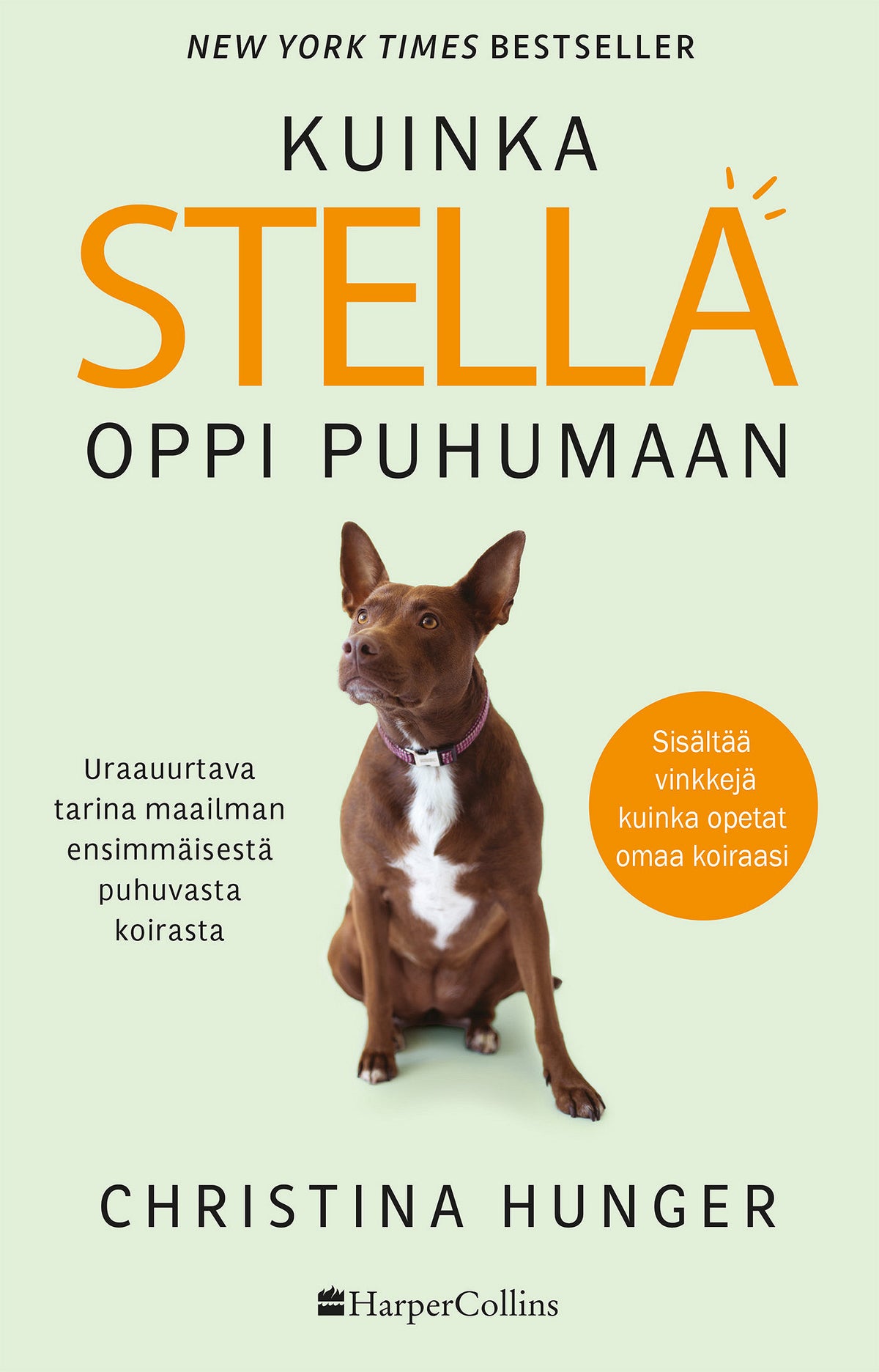 Kuinka Stella oppi puhumaan – E-bok
