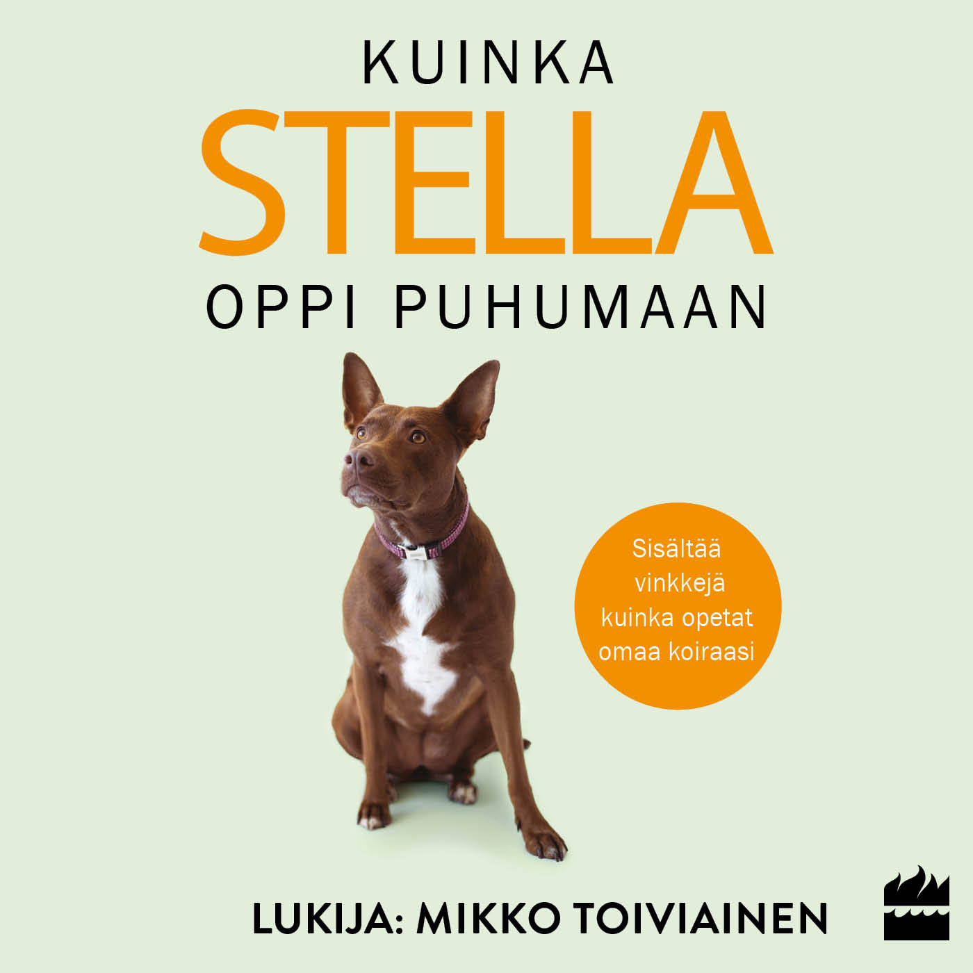 Kuinka Stella oppi puhumaan – Ljudbok