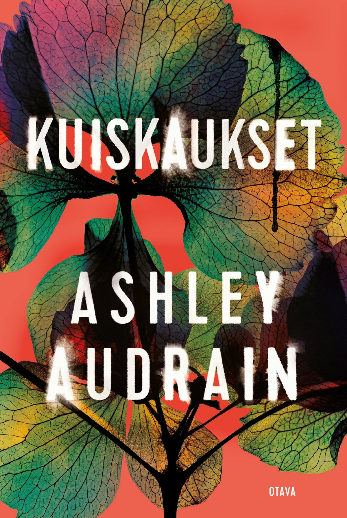 Kuiskaukset – E-bok