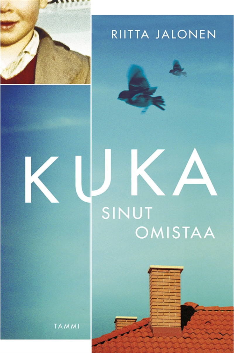 Kuka sinut omistaa – E-bok