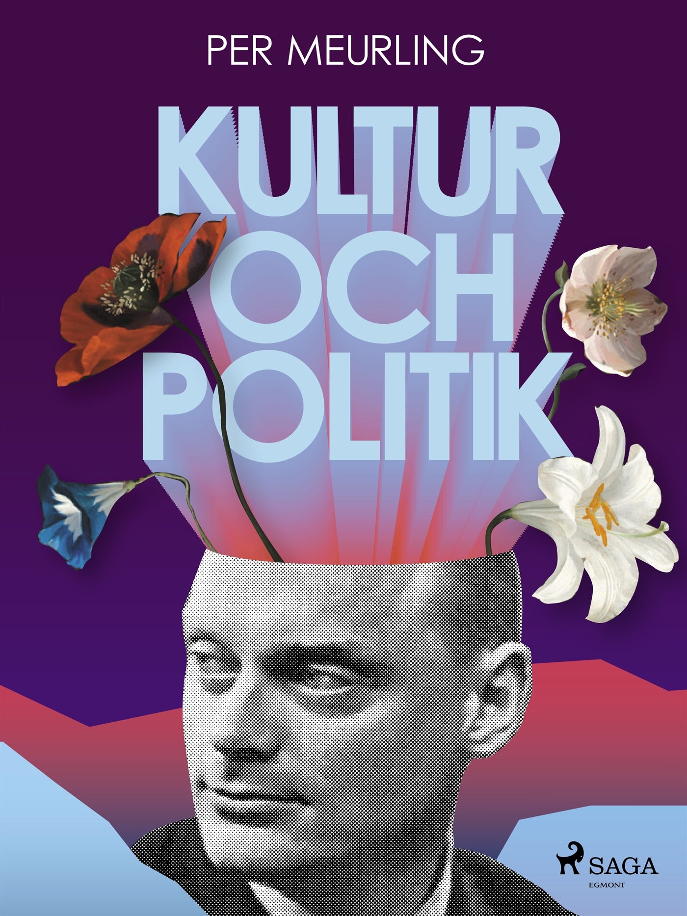 Kultur och politik – E-bok