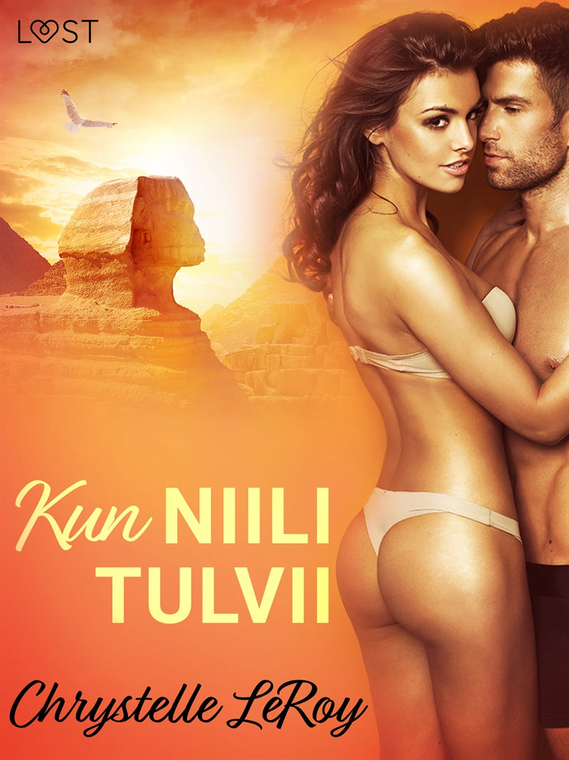 Kun Niili tulvii - eroottinen novelli – E-bok