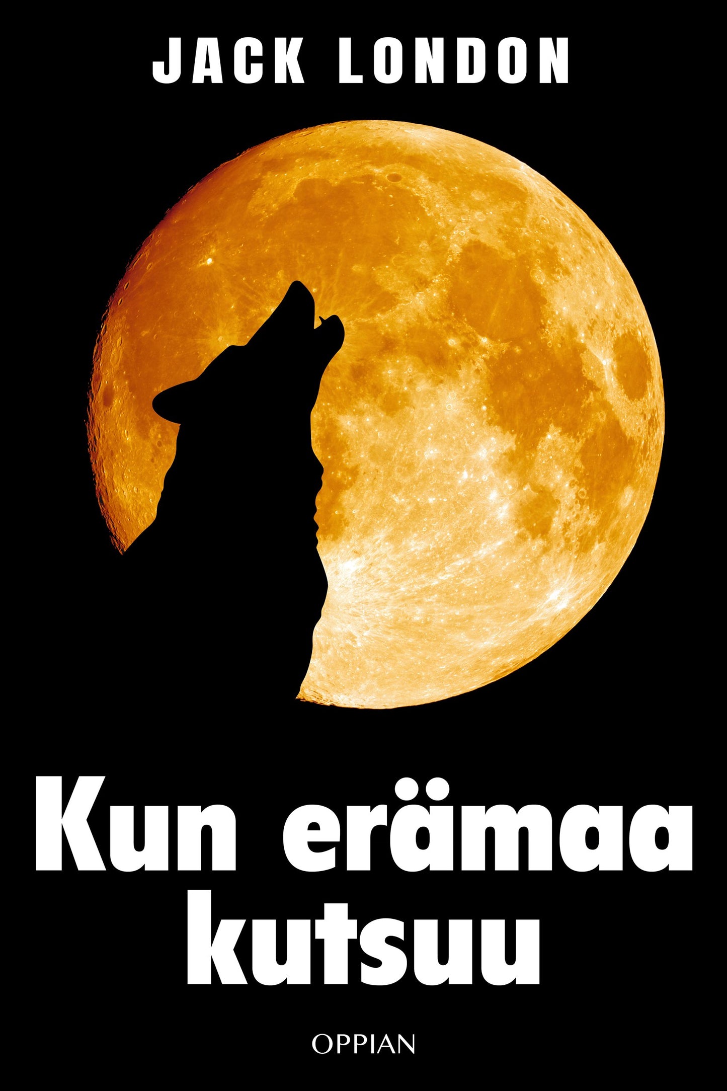 Kun erämaa kutsuu – E-bok