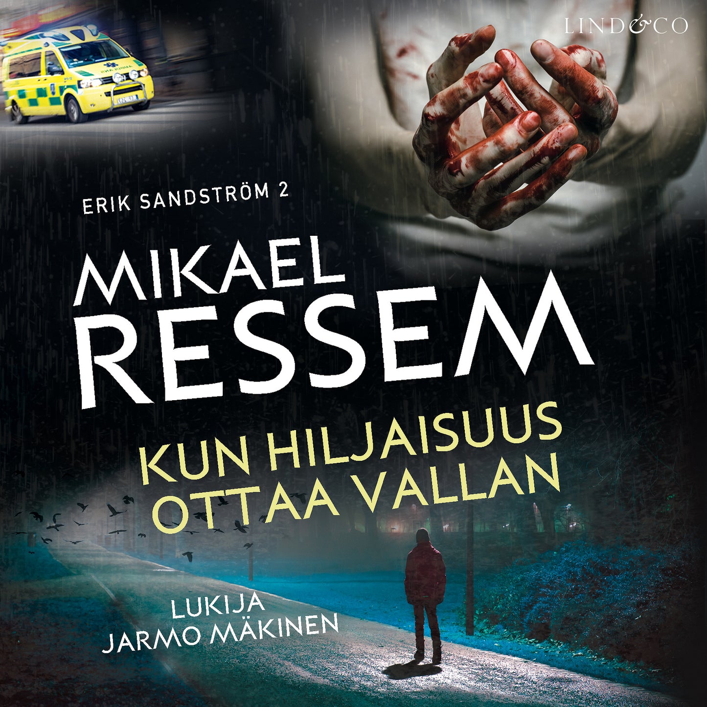 Kun hiljaisuus ottaa vallan – Ljudbok