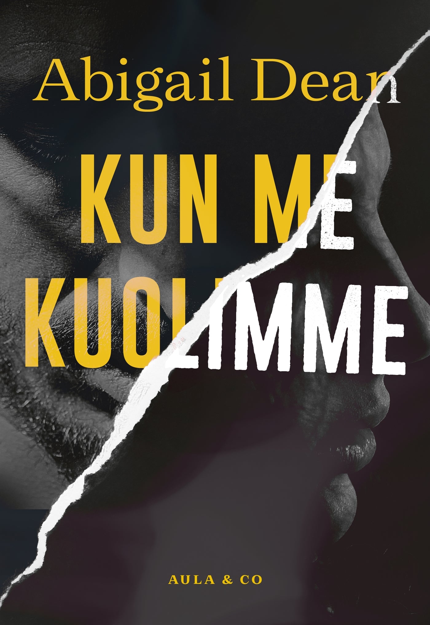 Kun me kuolimme – E-bok