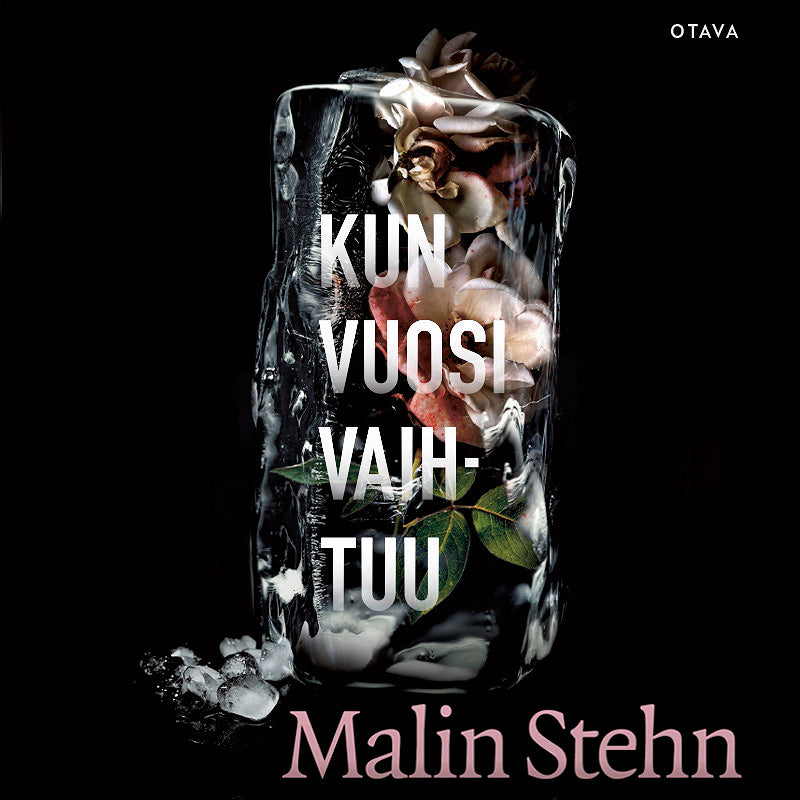 Kun vuosi vaihtuu – Ljudbok