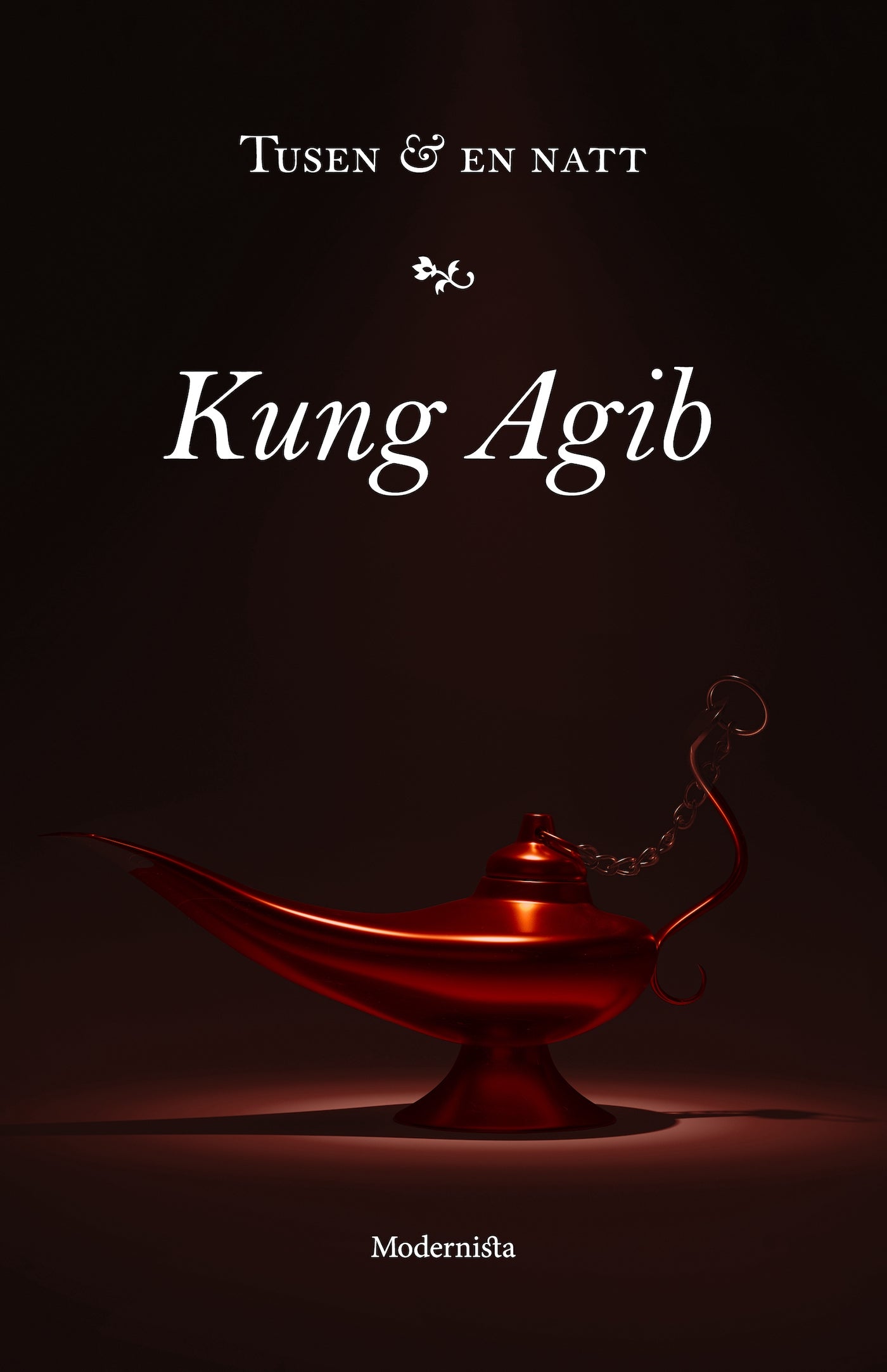 Kung Agib – E-bok