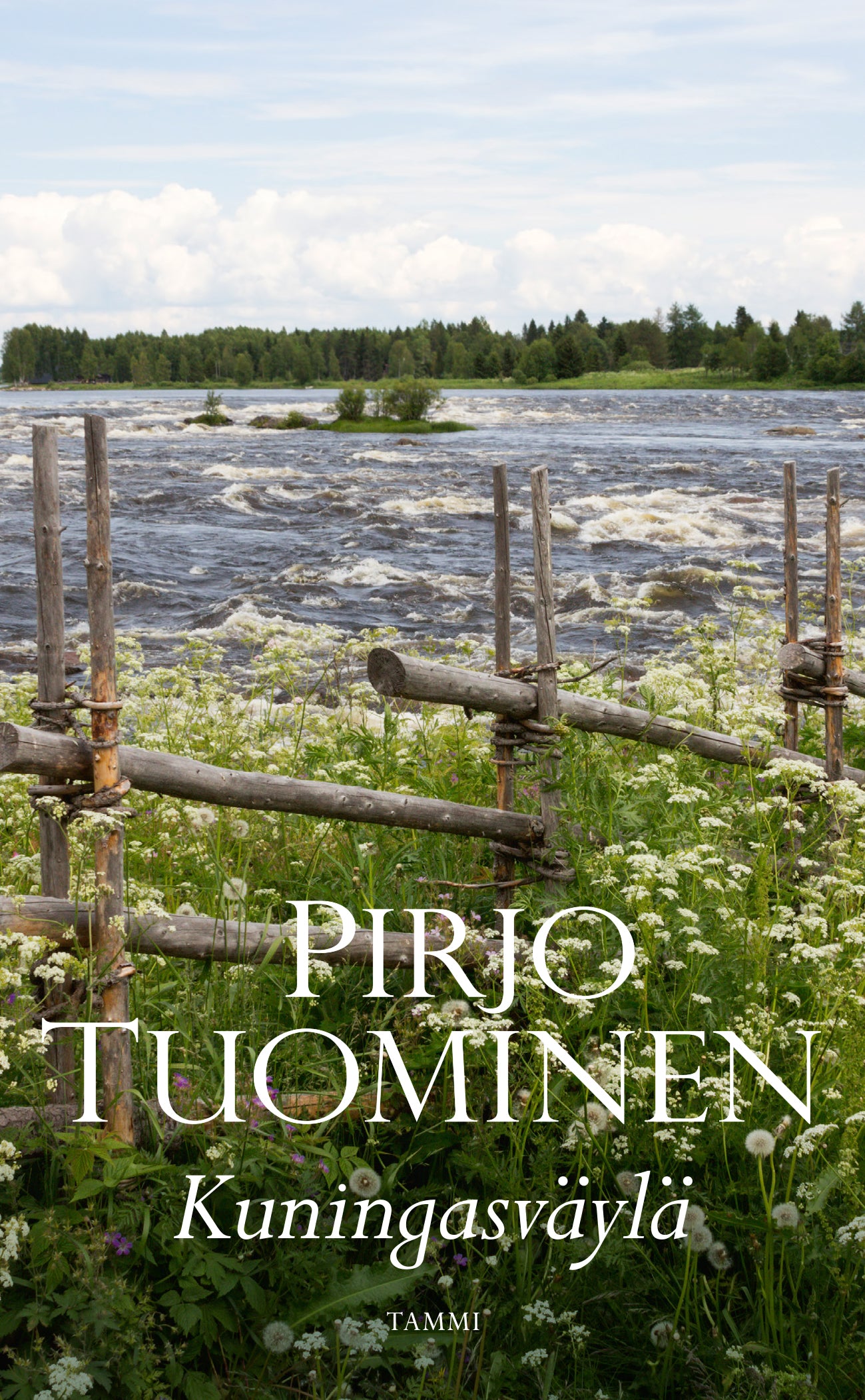 Kuningasväylä – E-bok