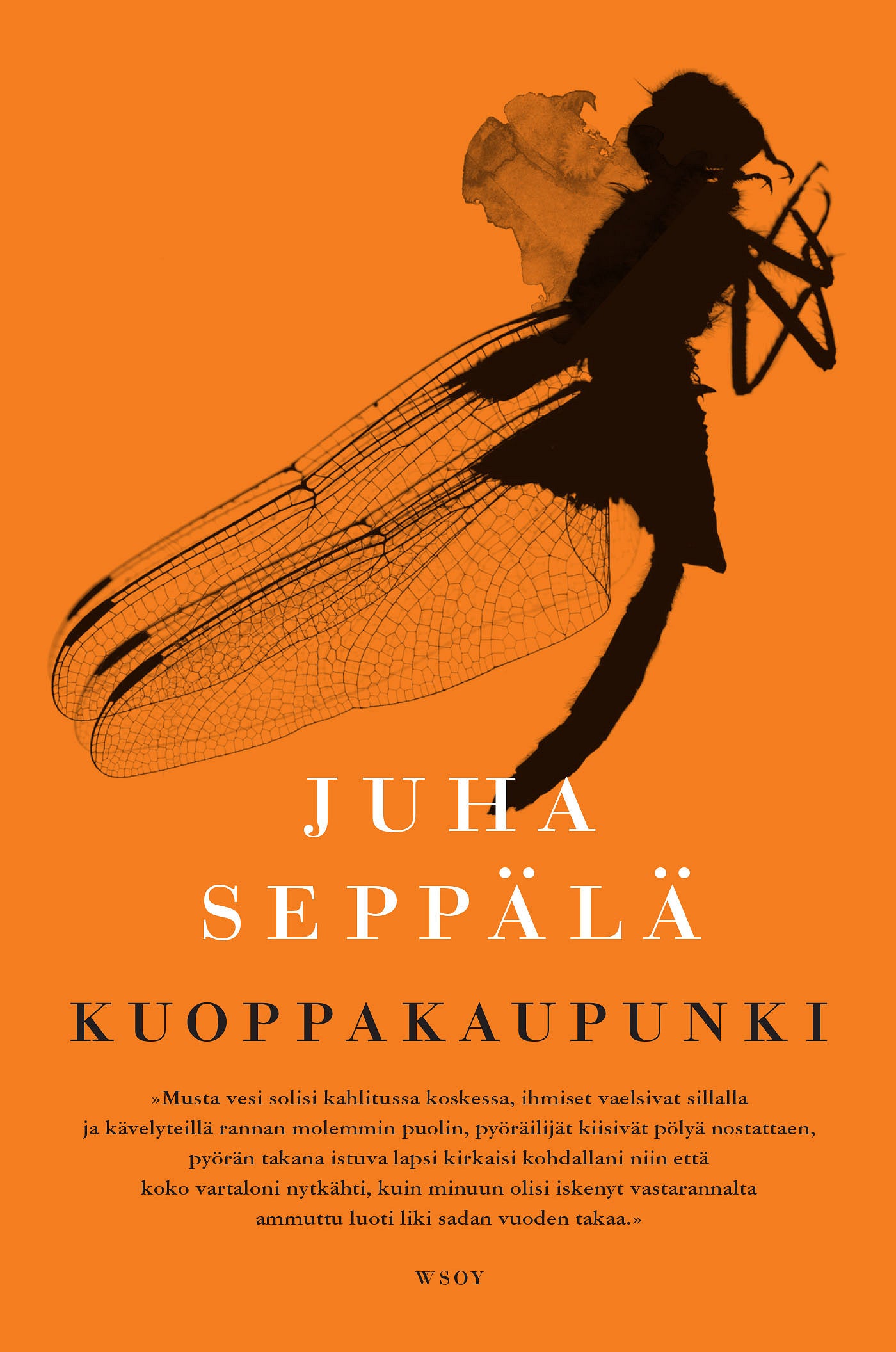 Kuoppakaupunki – E-bok