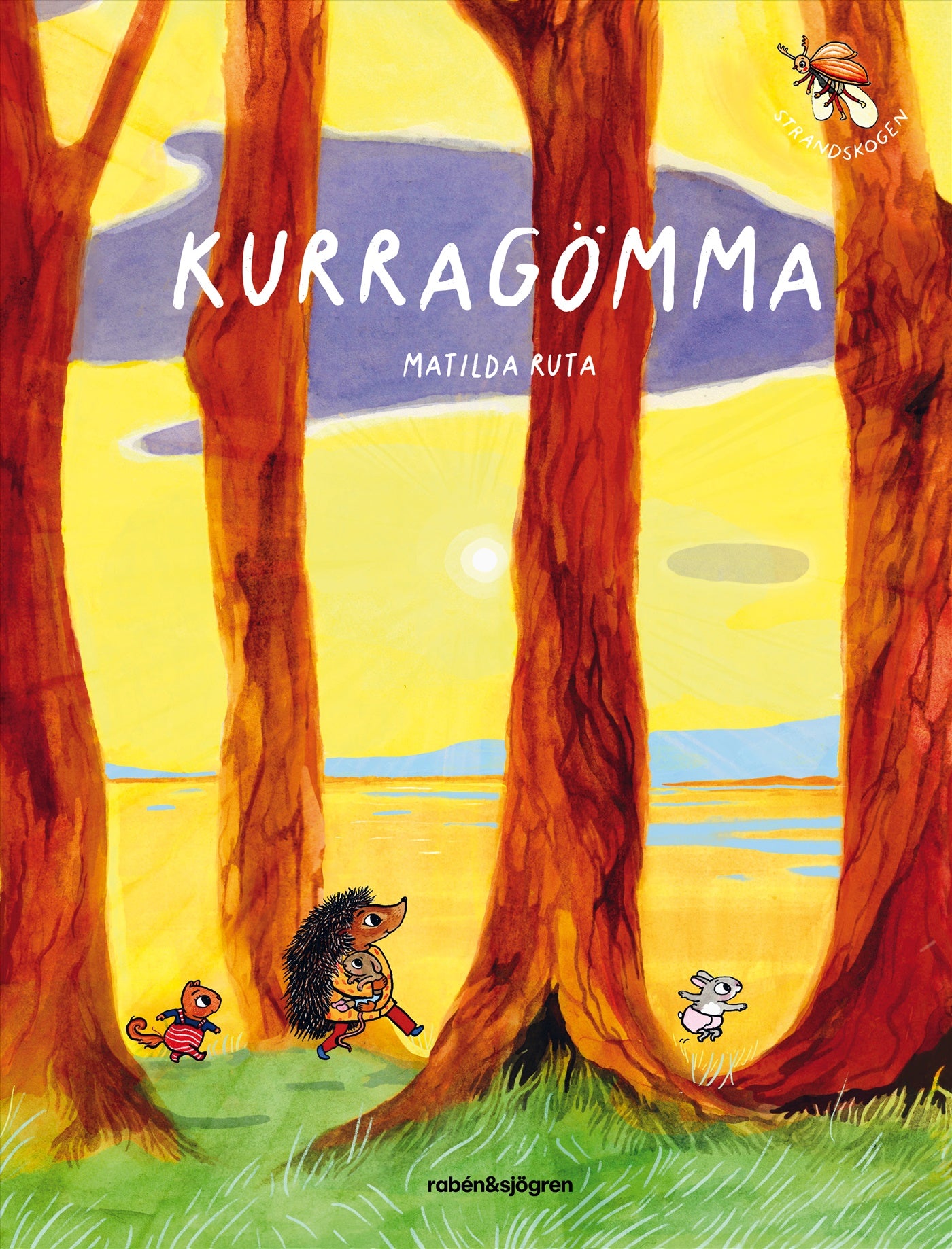 Kurragömma – E-bok