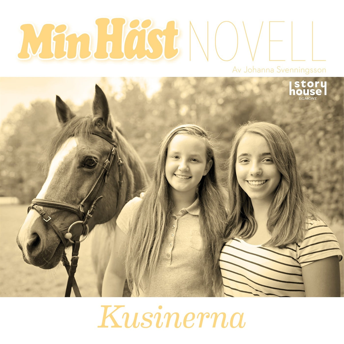 Kusinerna – Ljudbok