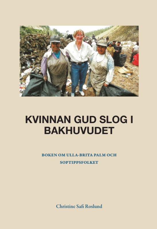 Kvinnan Gud slog i bakhuvudet – E-bok