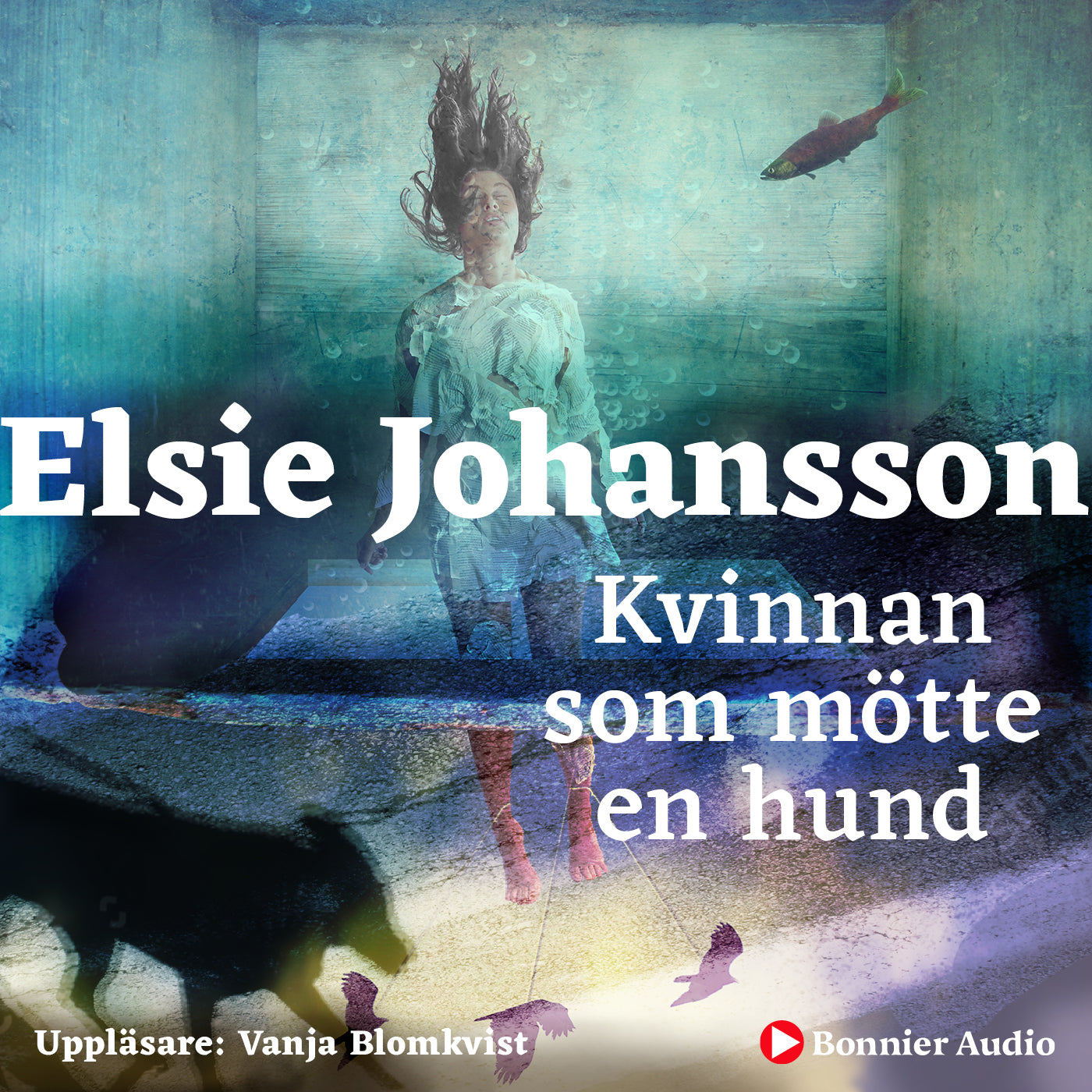 Kvinnan som mötte en hund – Ljudbok