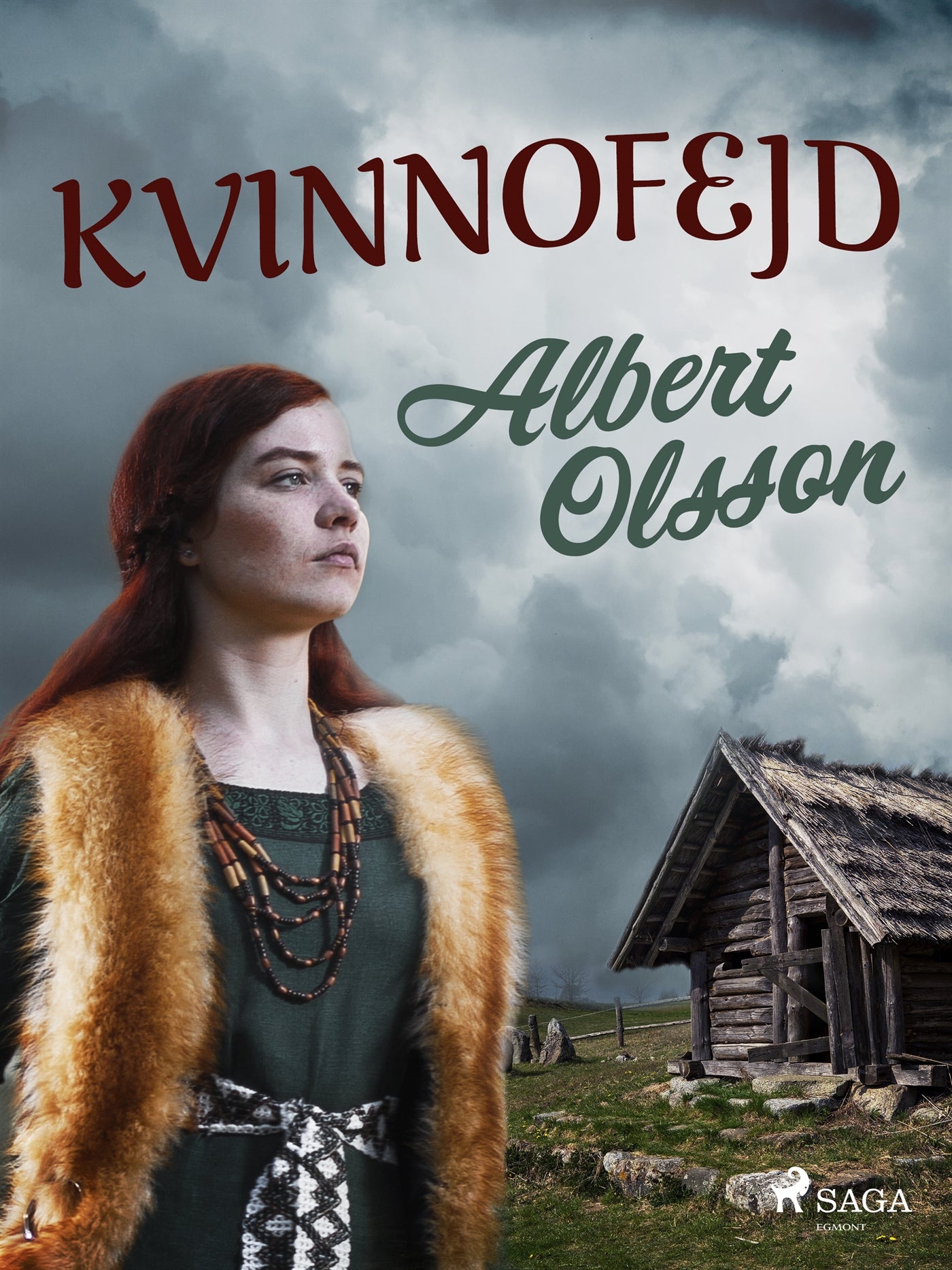 Kvinnofejd – E-bok