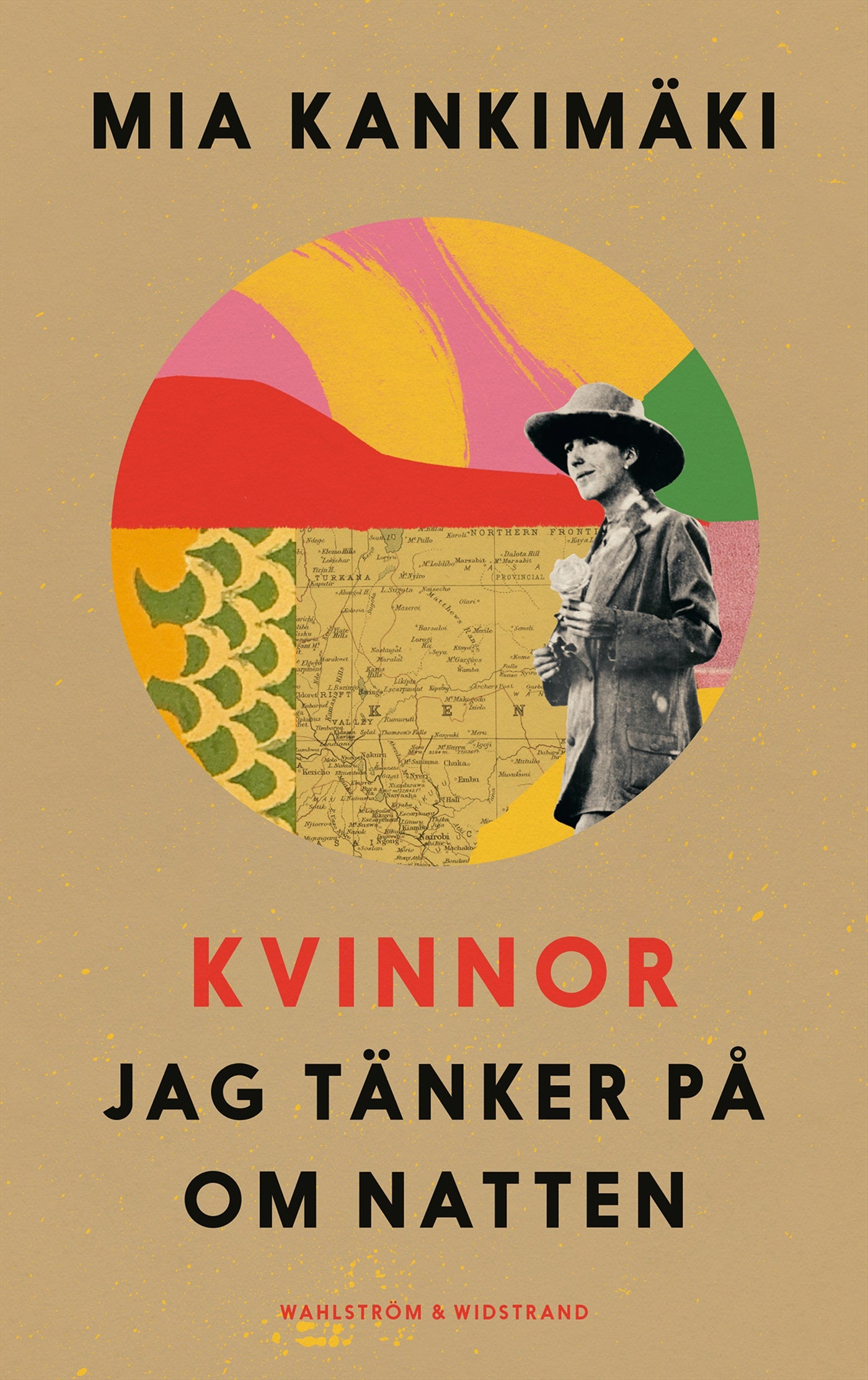 Kvinnor jag tänker på om natten – E-bok