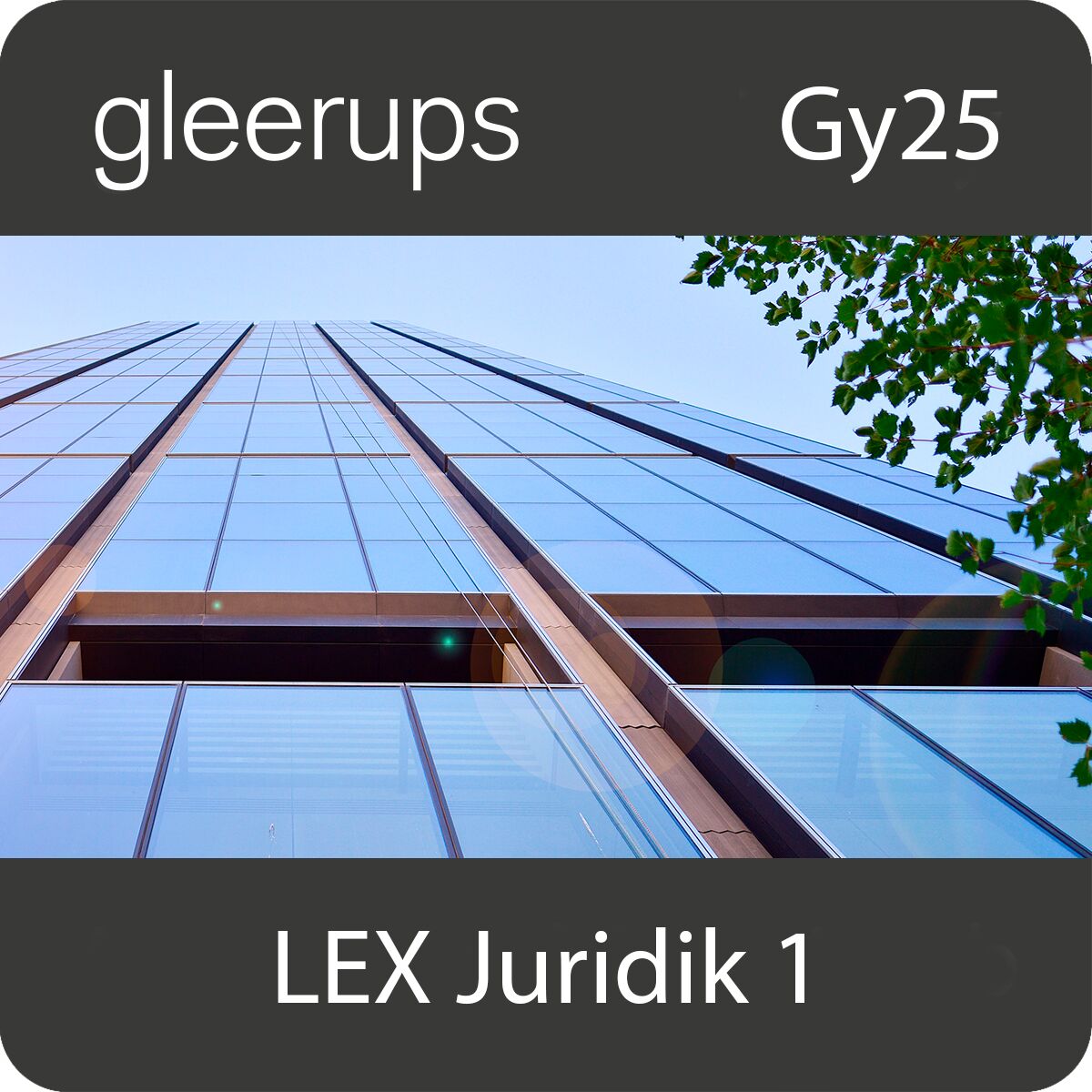LEX Juridik 1, digitalt läromedel, lärare, 12 mån, Gy25 (OBS! Endast för lärare)