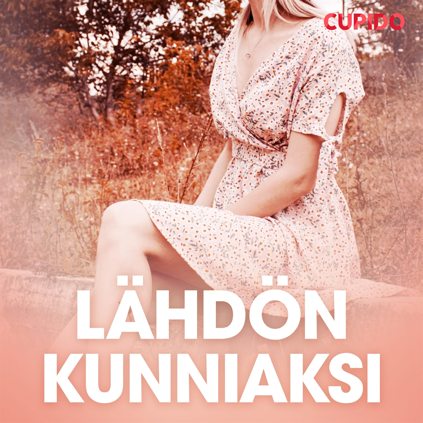 Lähdön kunniaksi – eroottinen novelli – Ljudbok