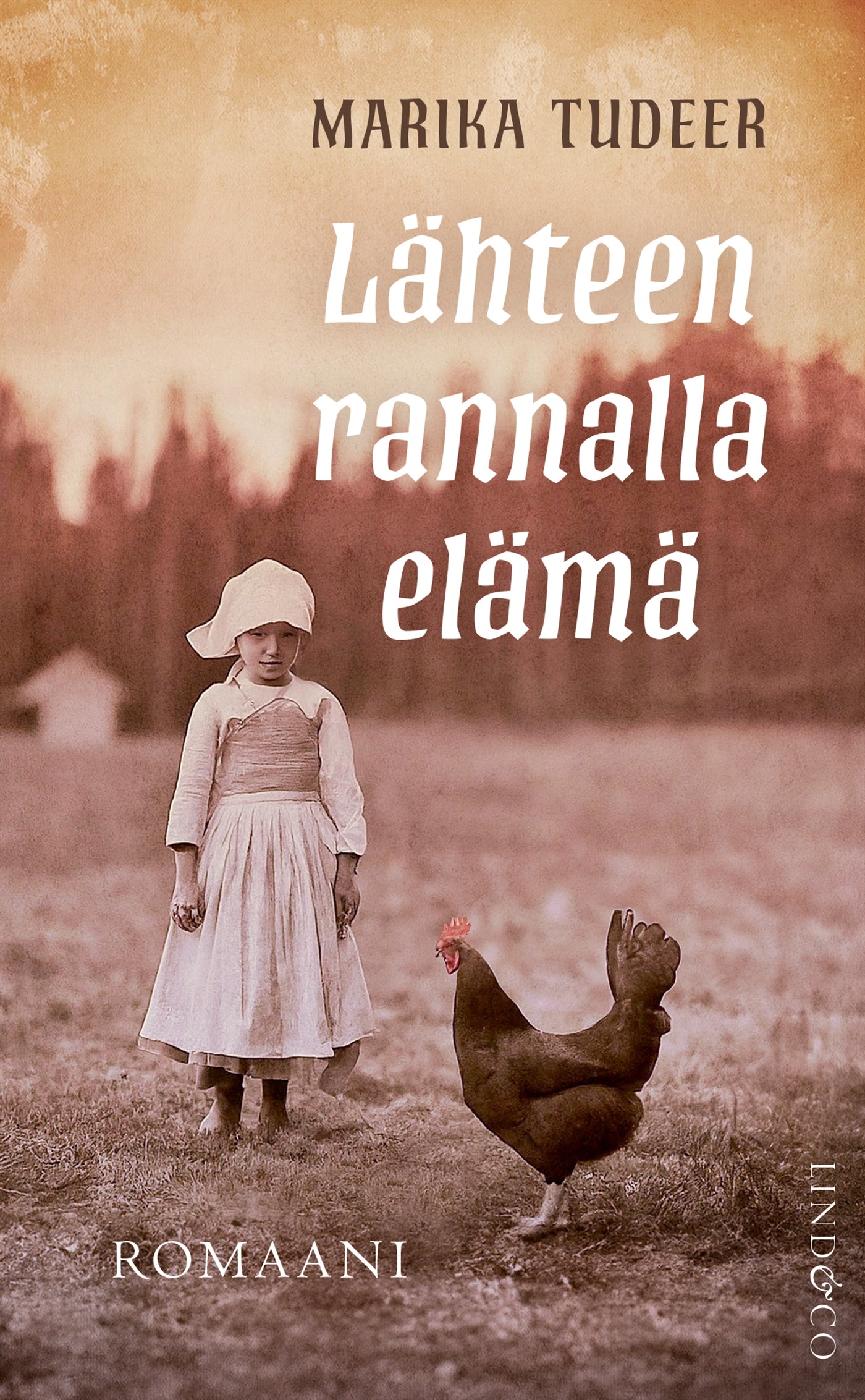 Lähteen rannalla elämä – E-bok
