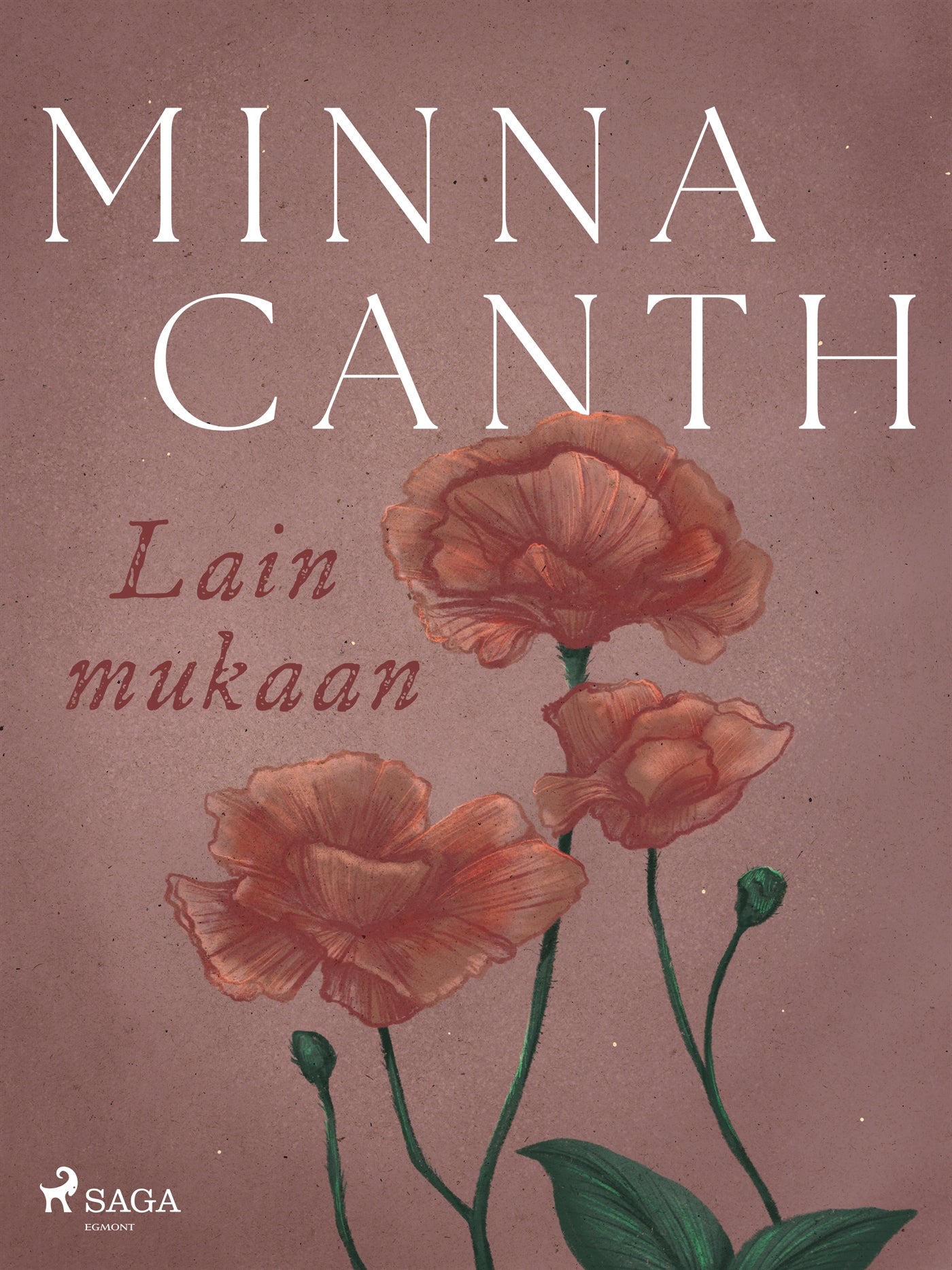 Lain mukaan – E-bok