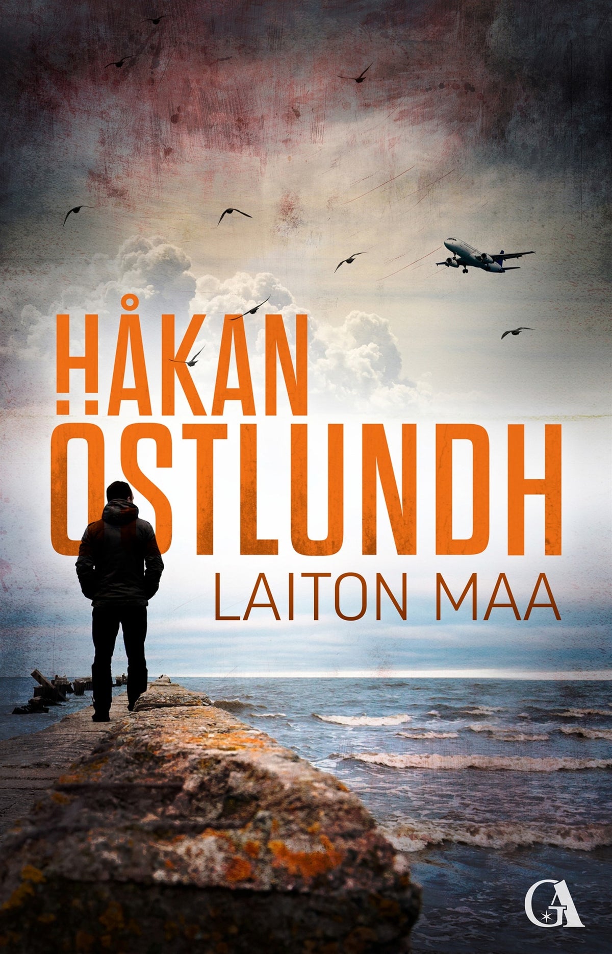 Laiton maa – E-bok