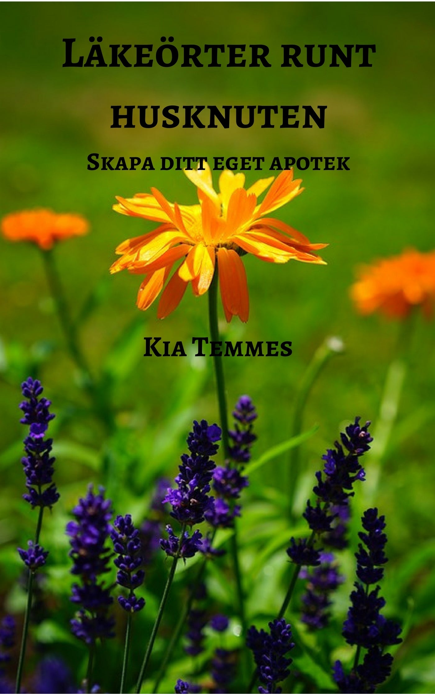 Läkeörter runt husknuten, skapa ditt eget apotek – E-bok