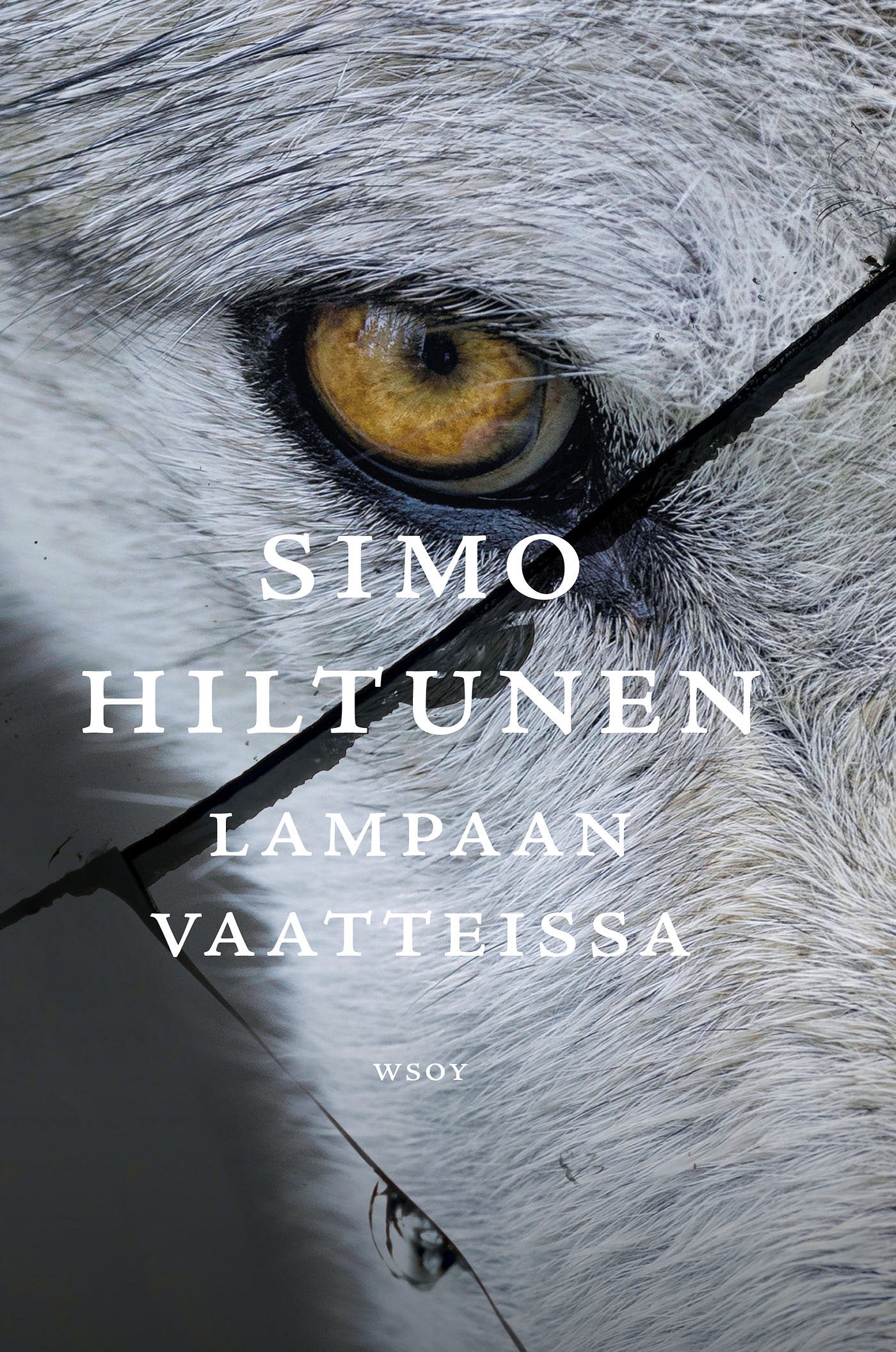 Lampaan vaatteissa – E-bok