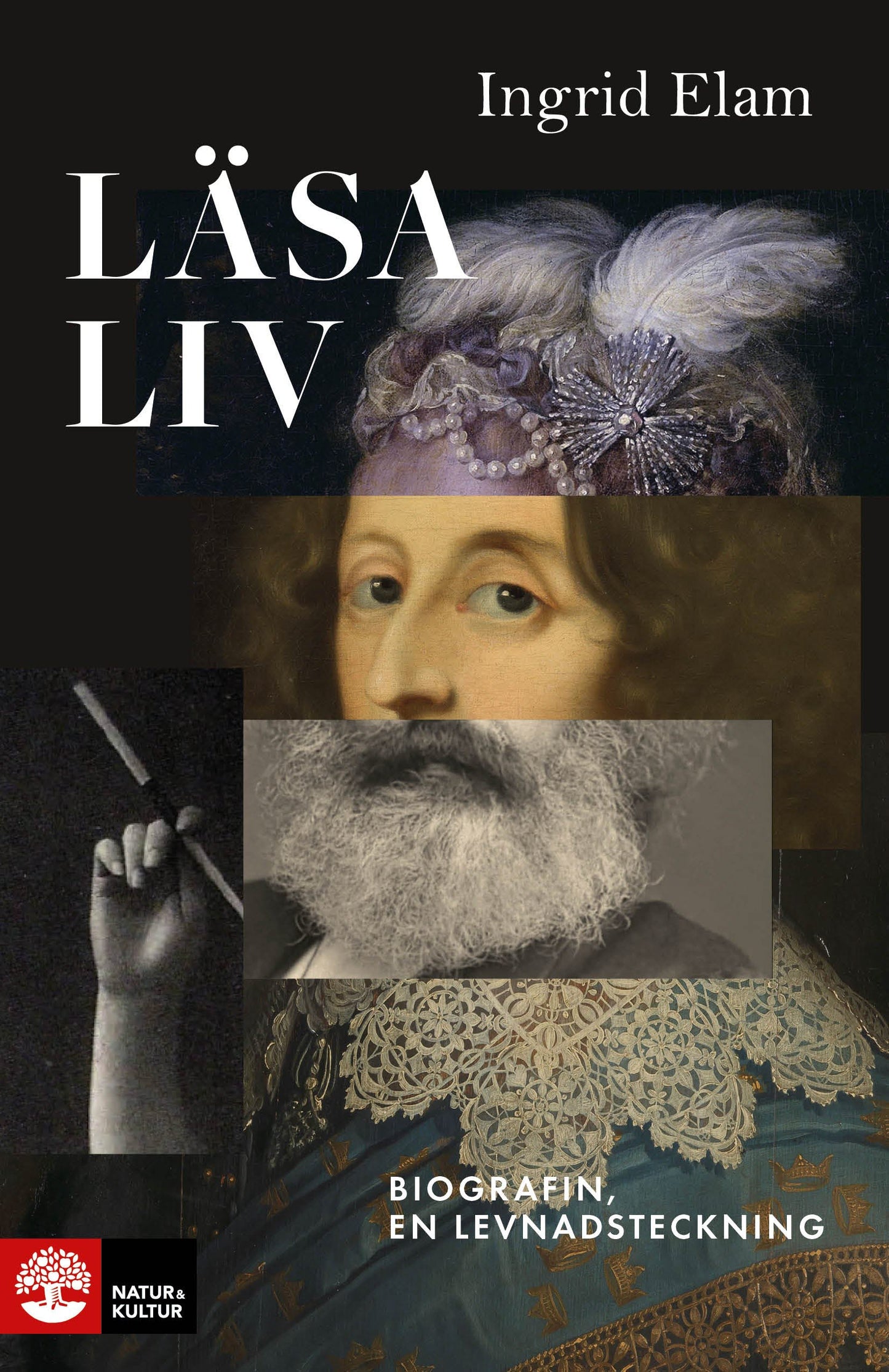 Läsa liv : biografin, en levnadsteckning – E-bok