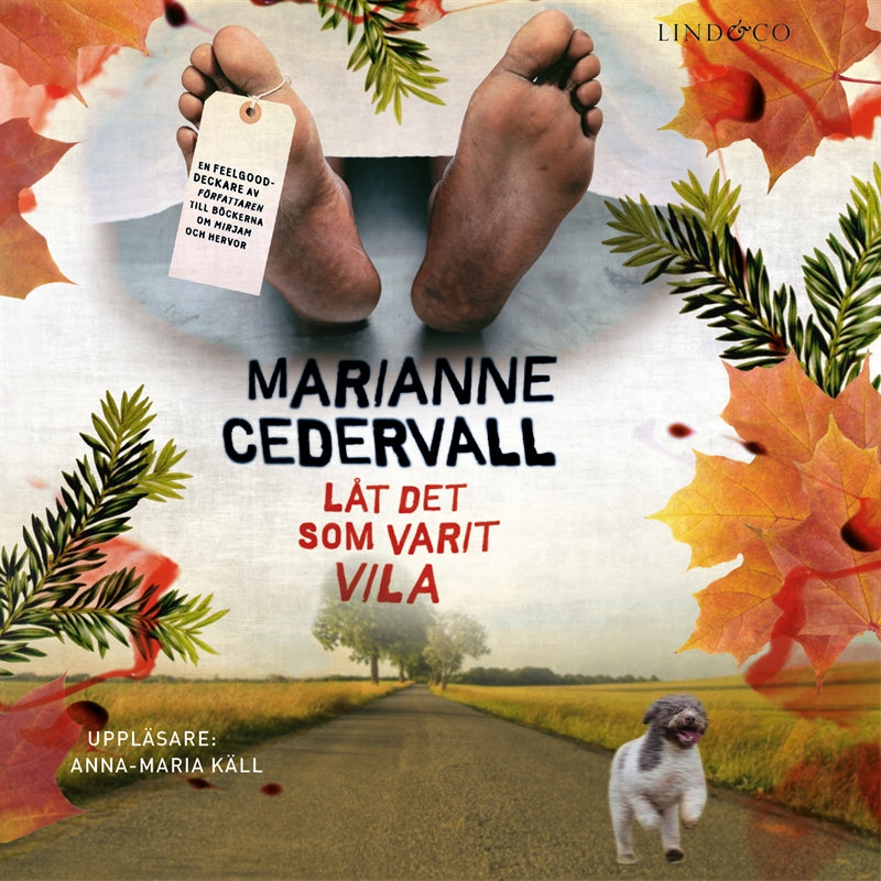 Låt det som varit vila – Ljudbok