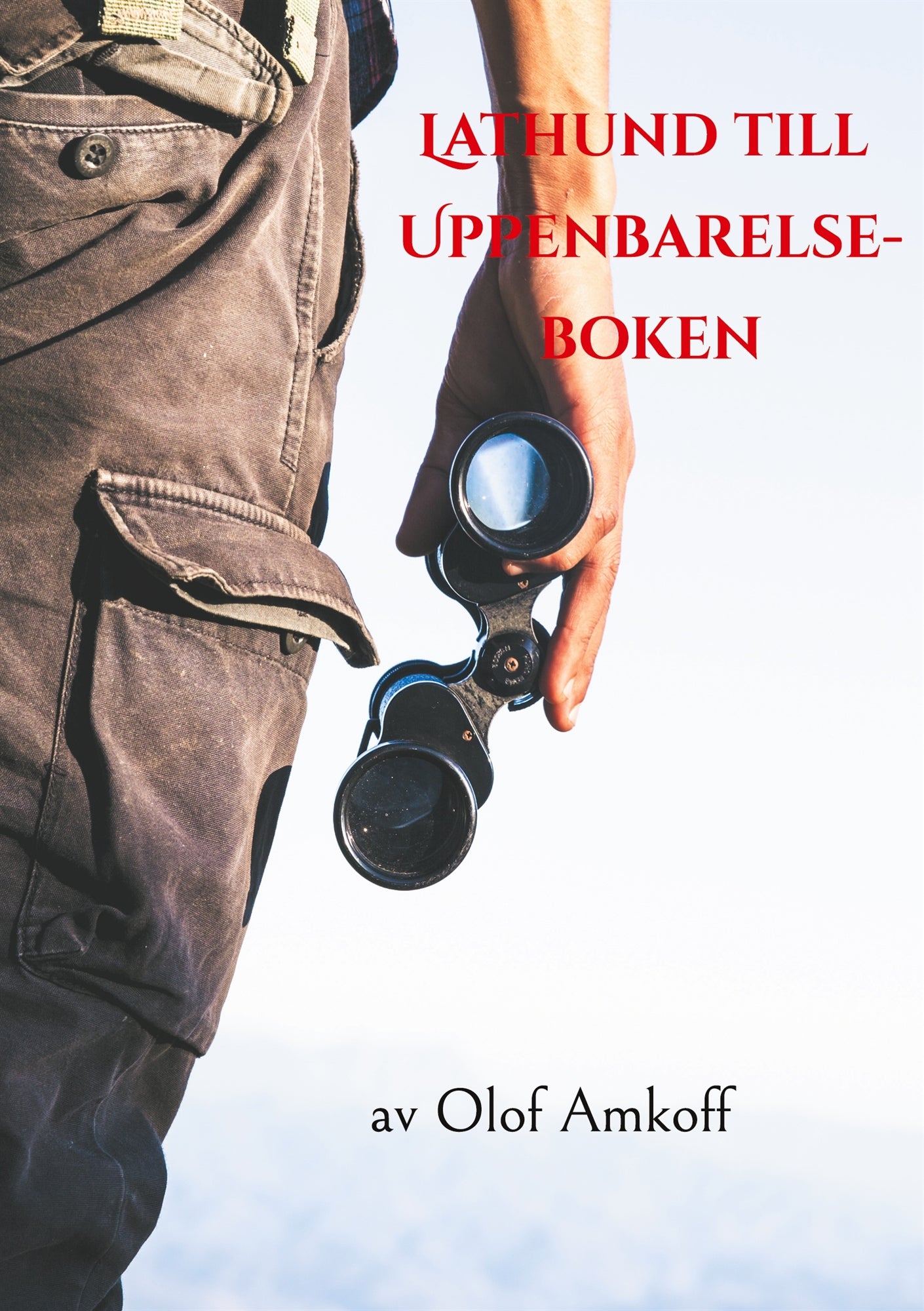 Lathund till Uppenbarelseboken – E-bok