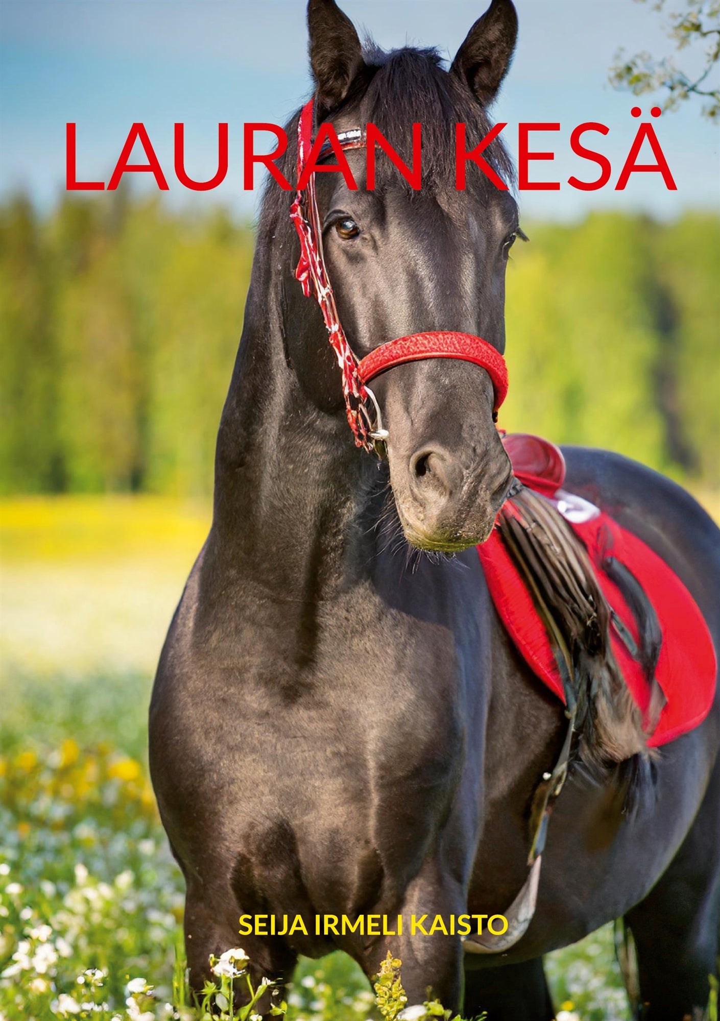 Lauran kesä – E-bok