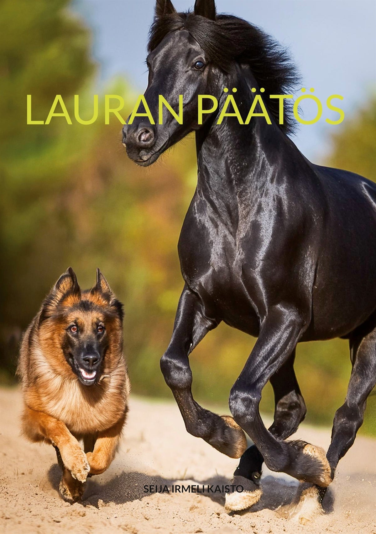 Lauran päätös – E-bok