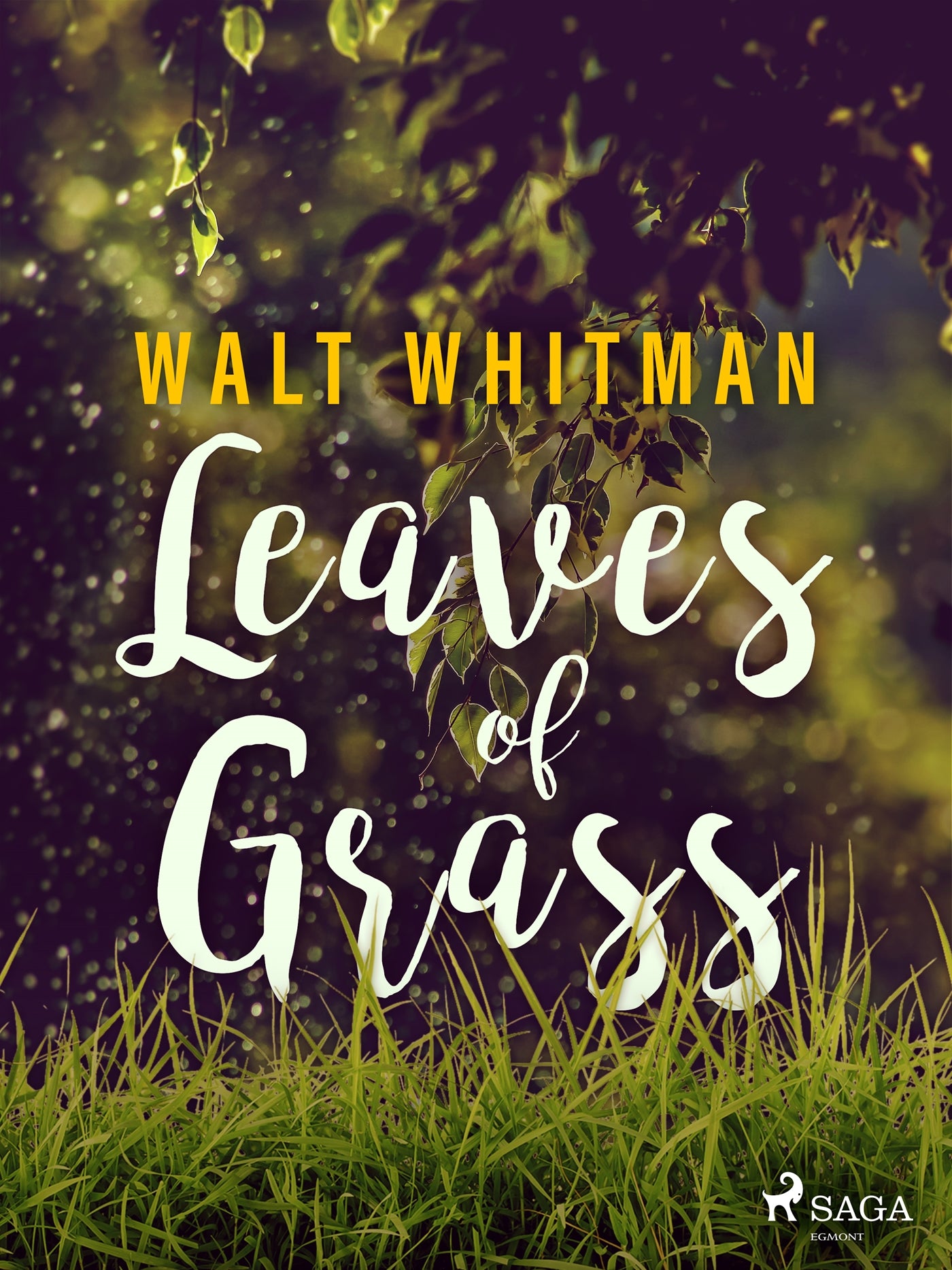 Leaves of Grass – E-bok
