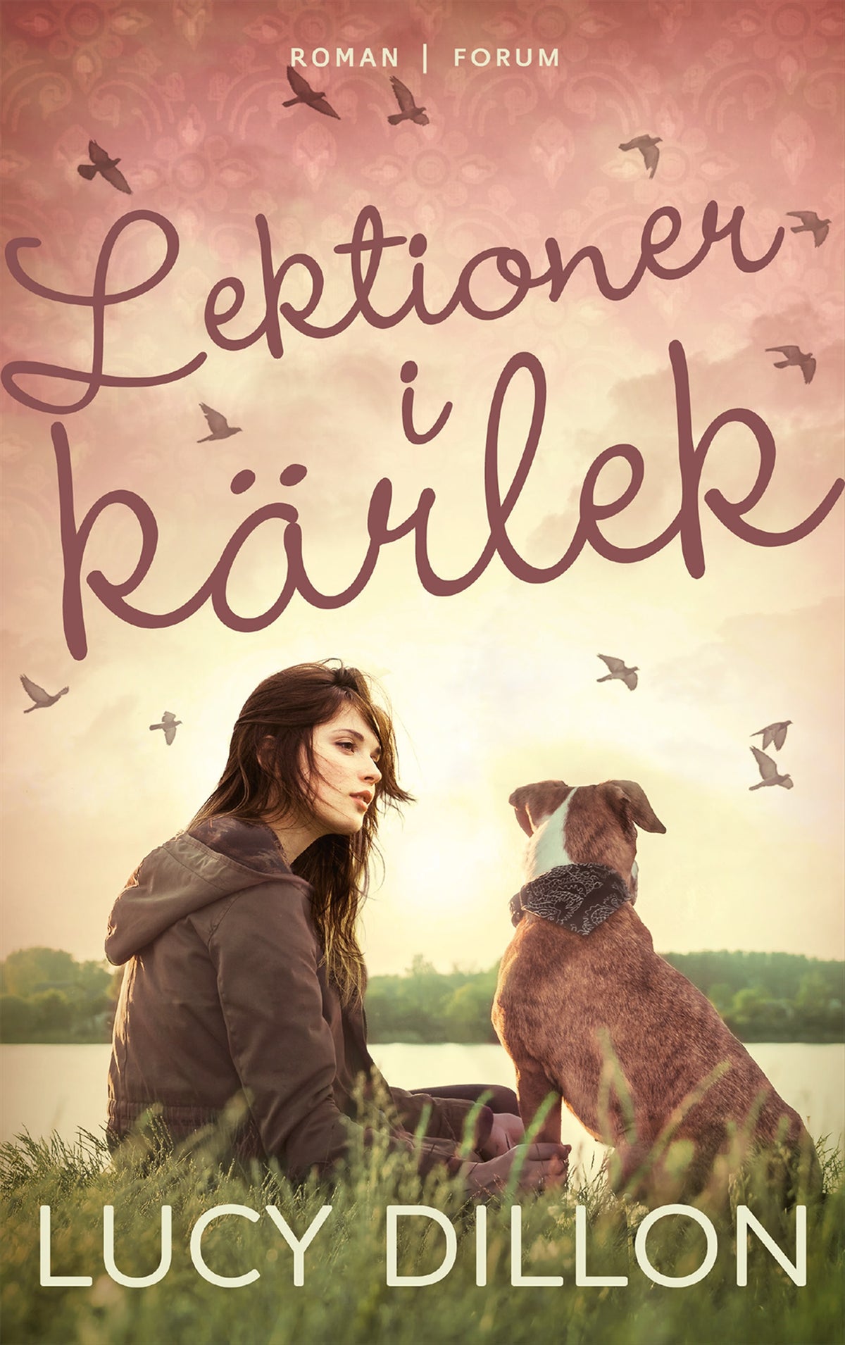 Lektioner i kärlek – E-bok