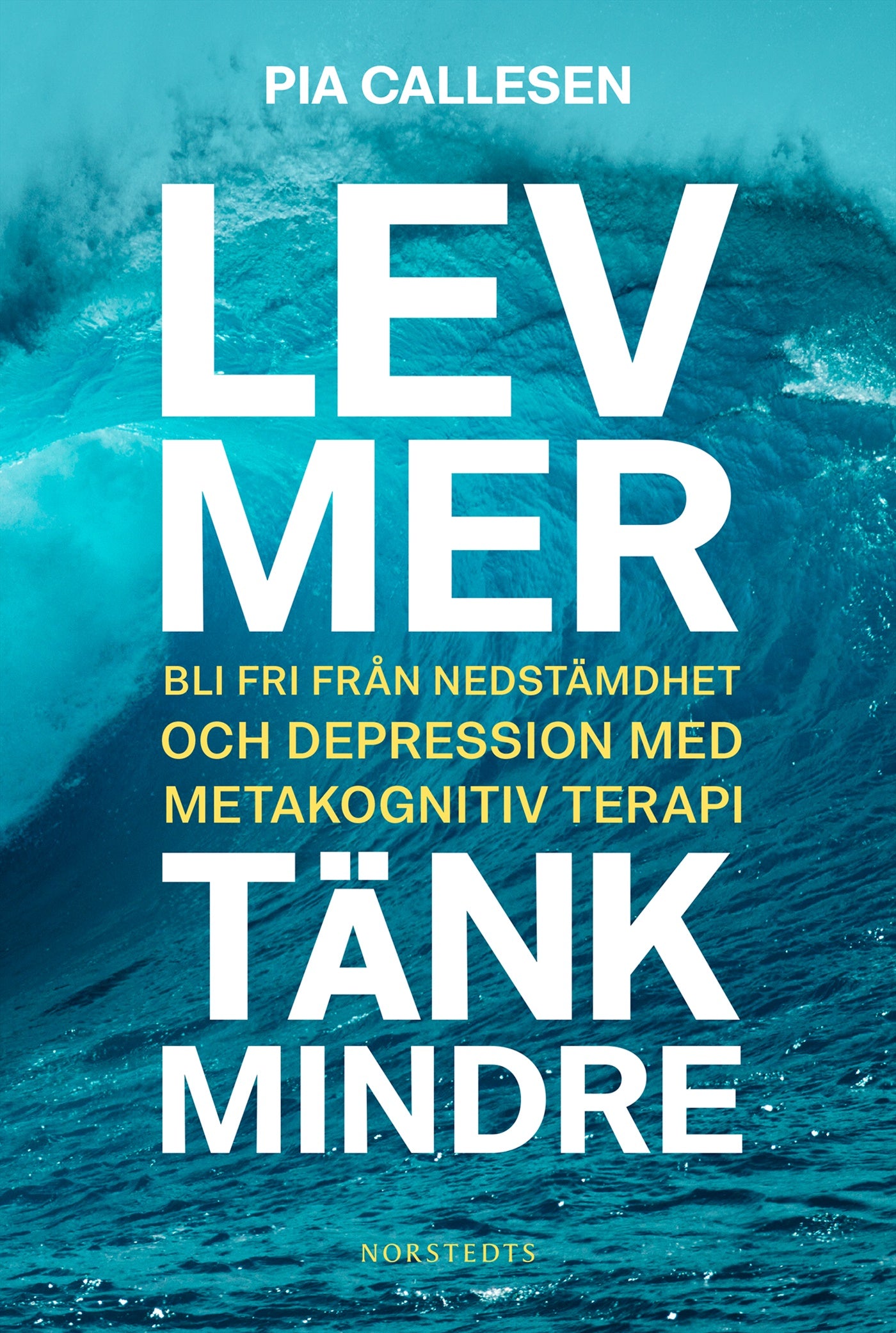 Lev mer, tänk mindre : bli fri från nedstämdhet och depression med metakognitiv terapi – E-bok