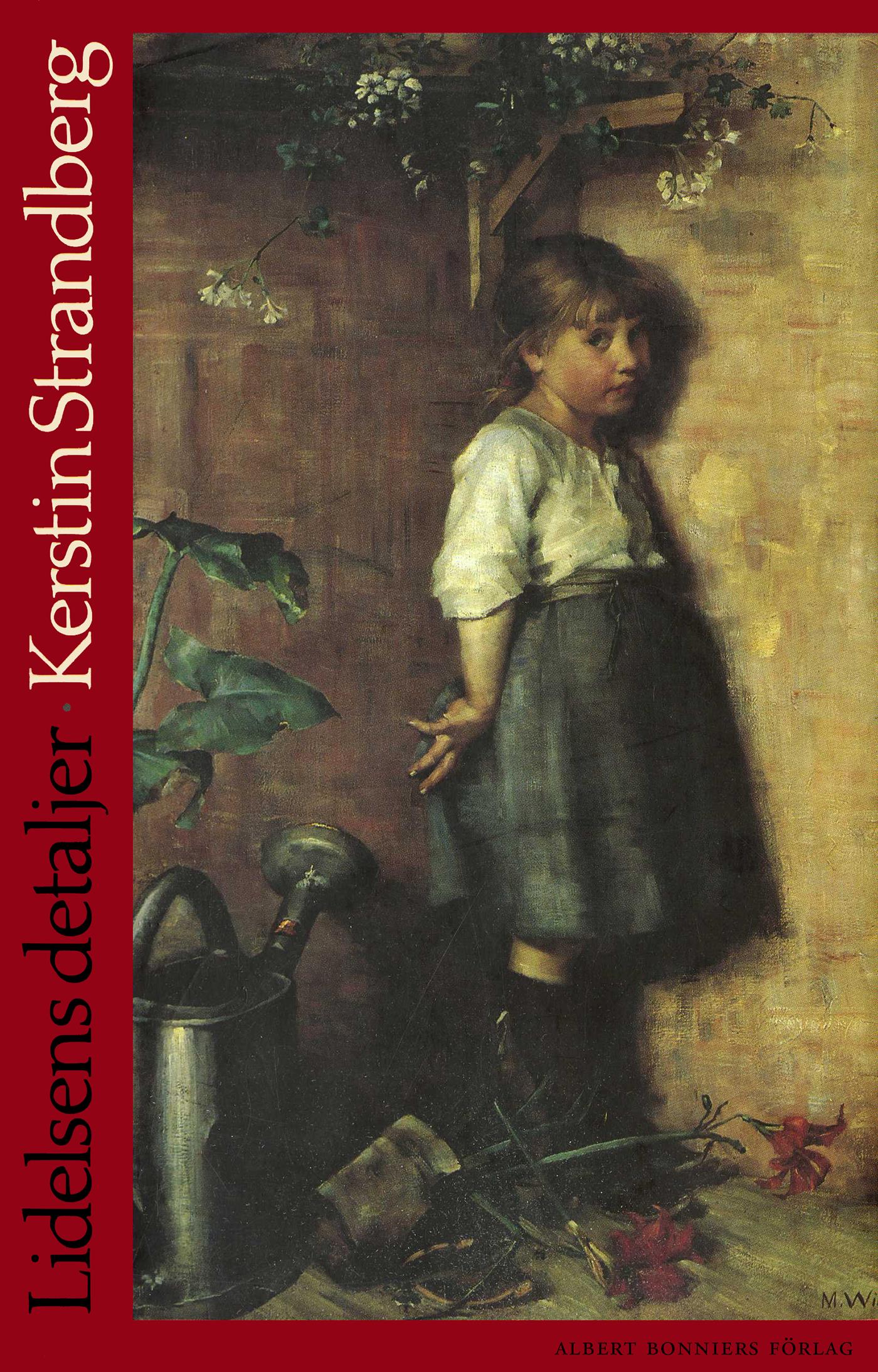 Lidelsens detaljer – E-bok