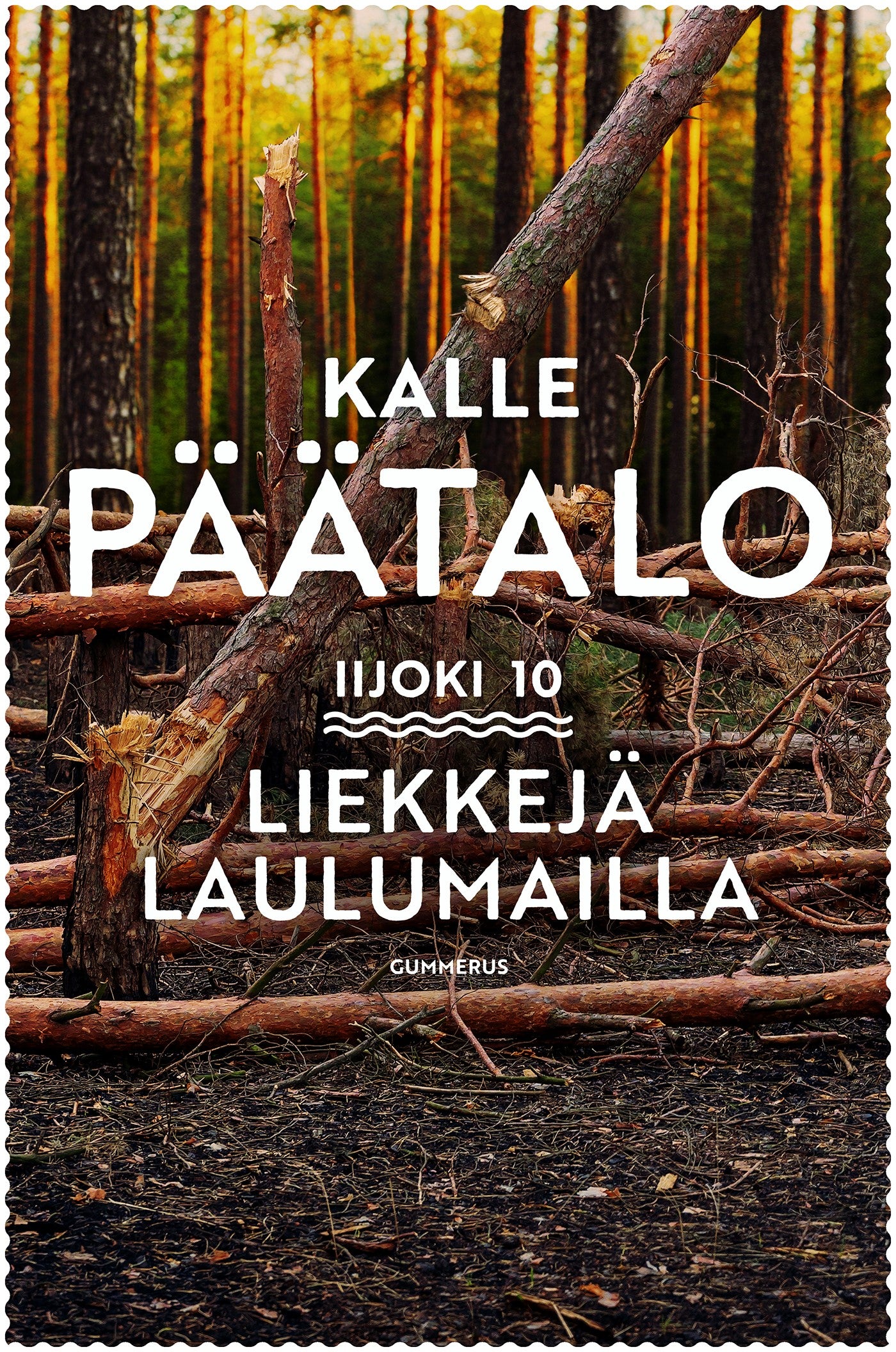 Liekkejä laulumailla – E-bok