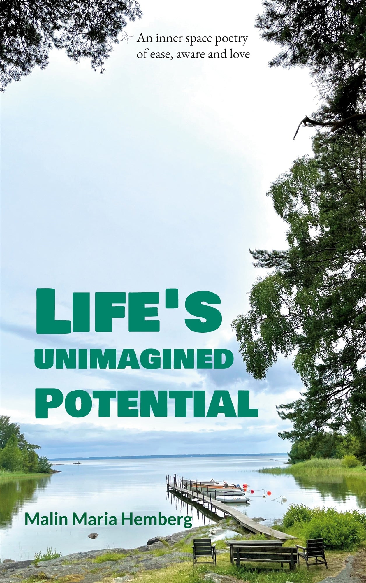 Life's unimagined potential – E-bok