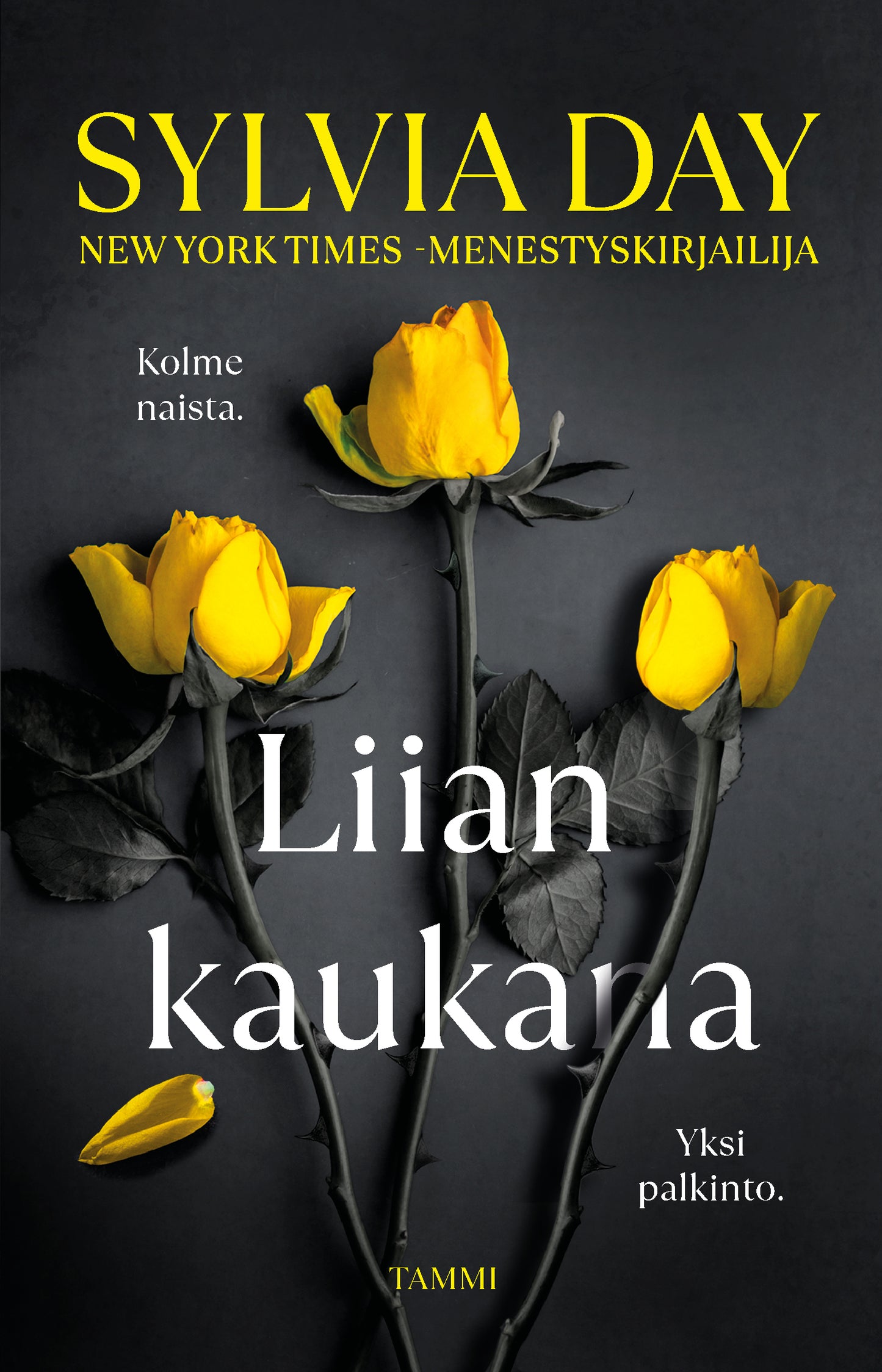 Liian kaukana – E-bok