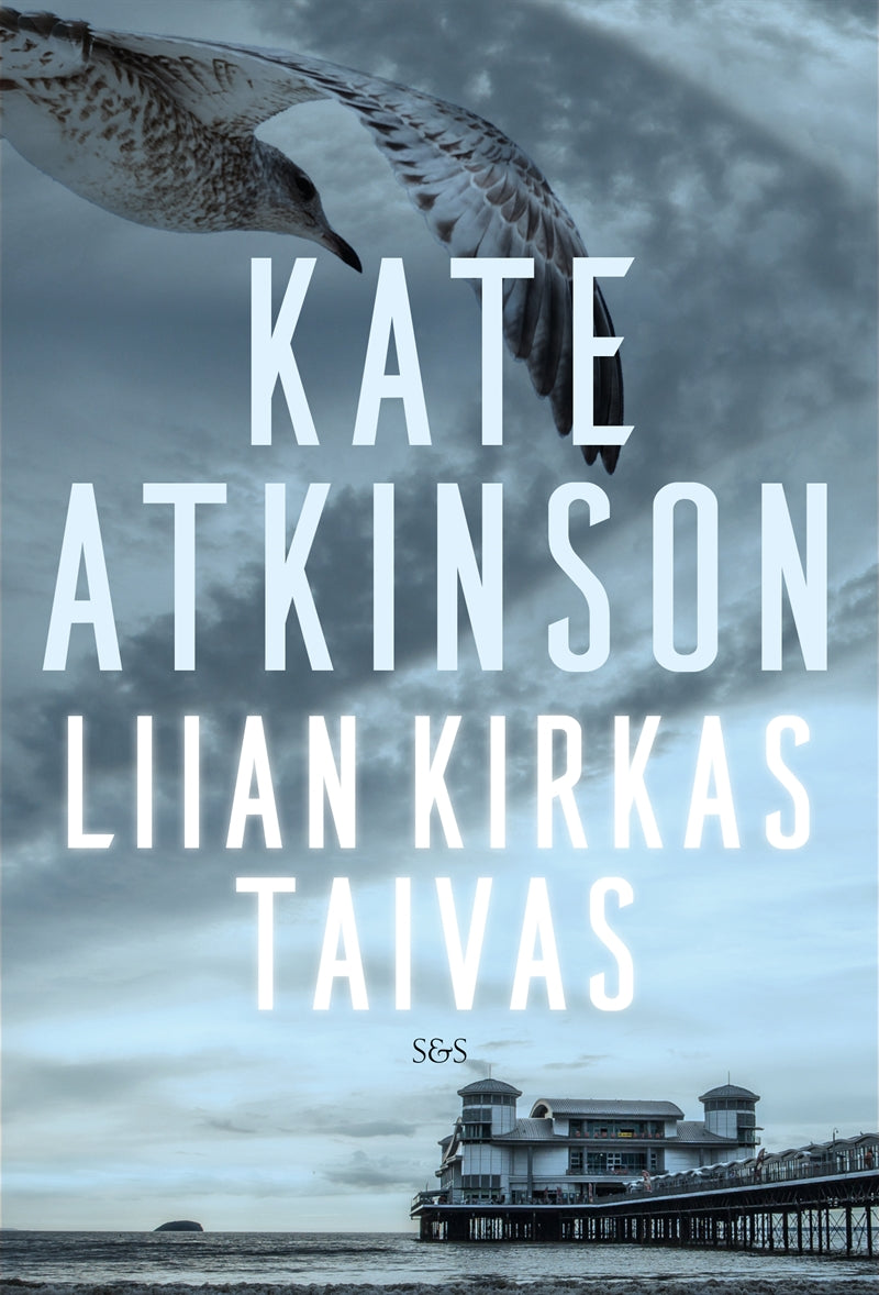 Liian kirkas taivas – E-bok