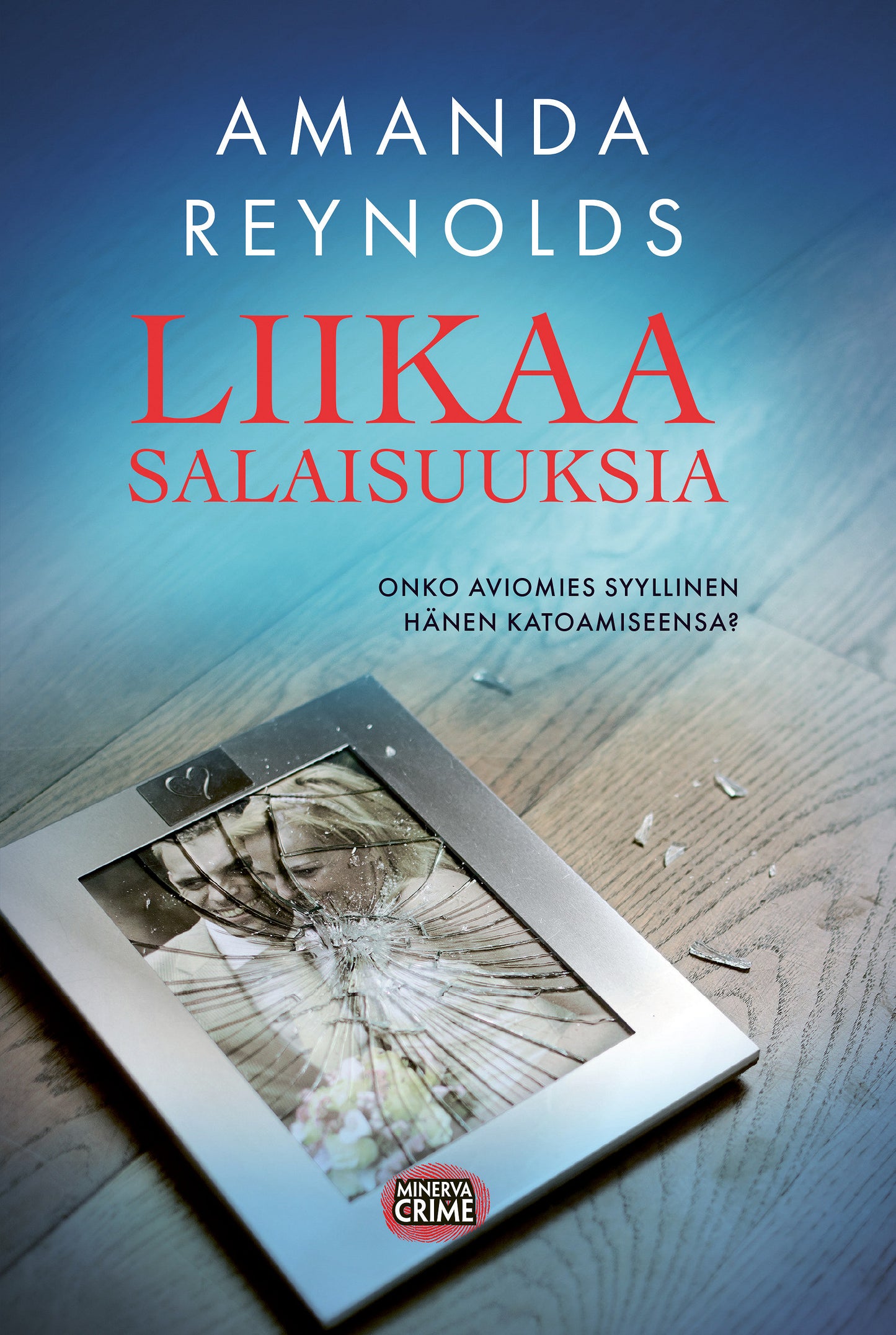 Liikaa salaisuuksia – E-bok