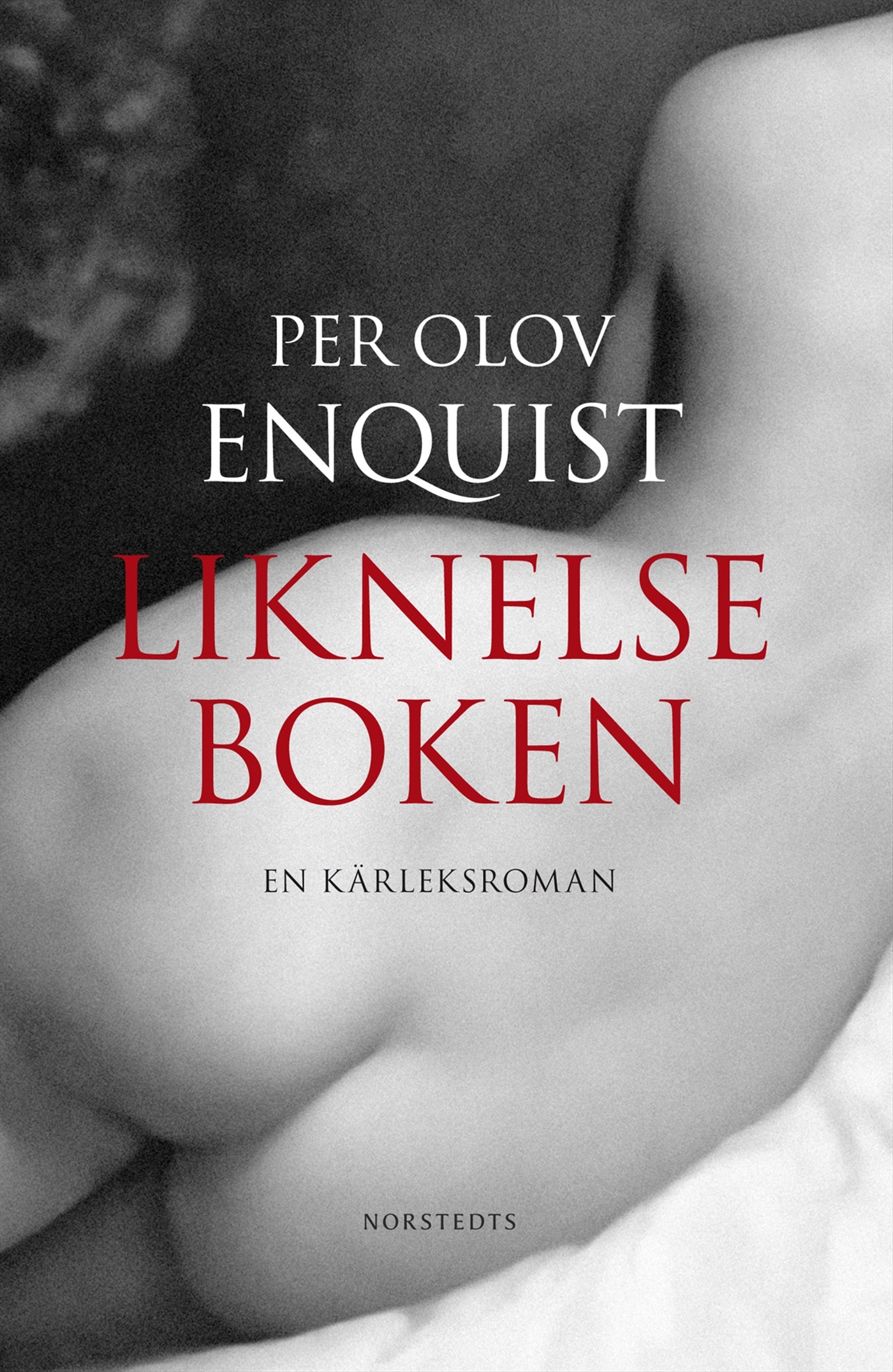 Liknelseboken - En kärleksroman – E-bok
