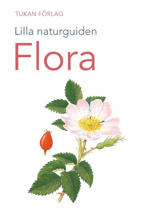 Lilla naturguiden: flora – E-bok